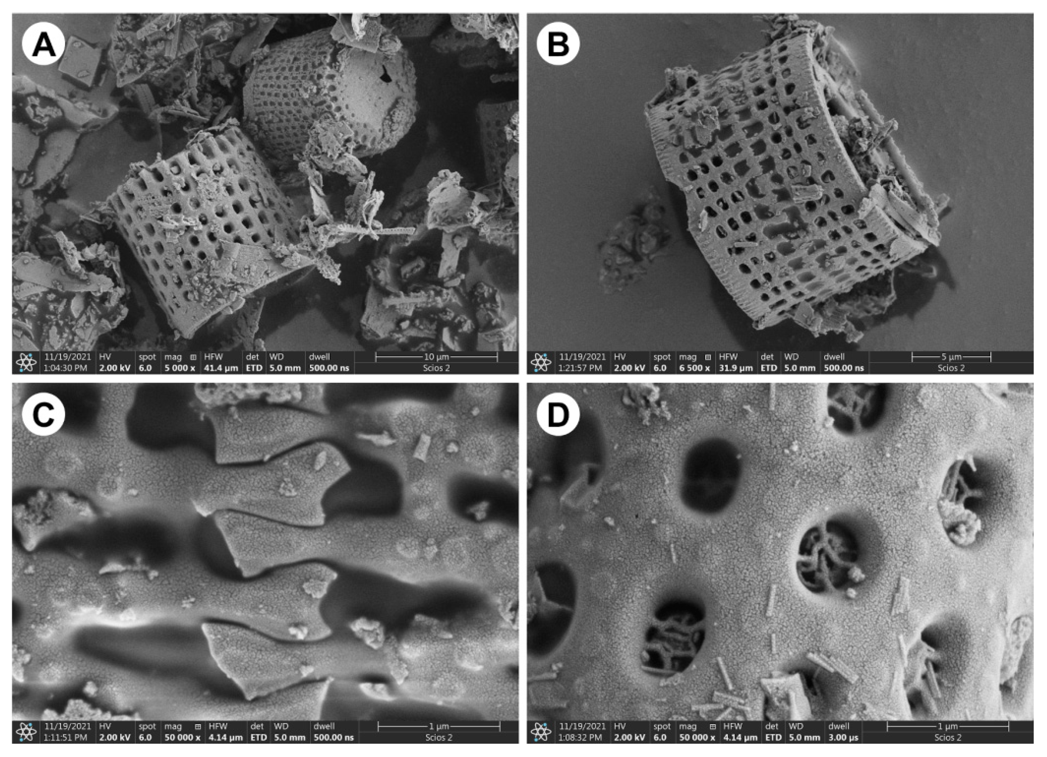 Materials 15 06210 g001