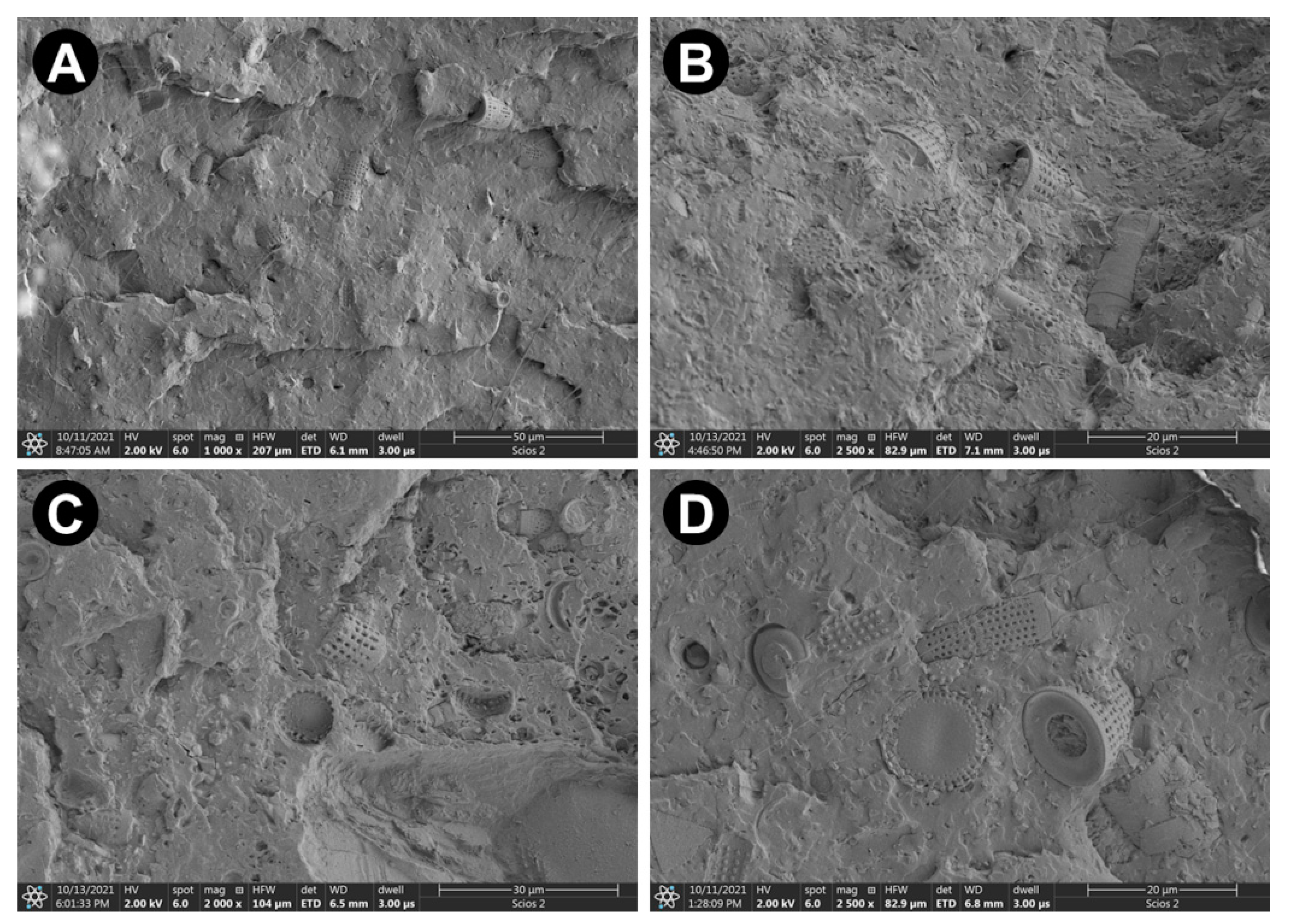 Materials 15 06210 g002