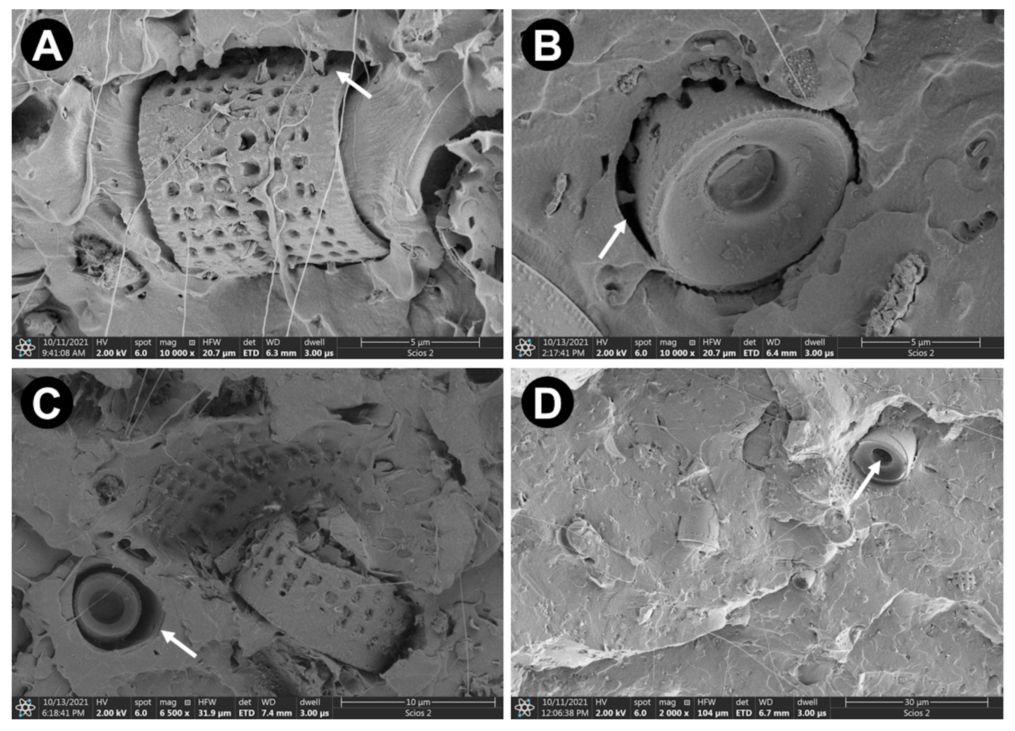 Materials 15 06210 g004