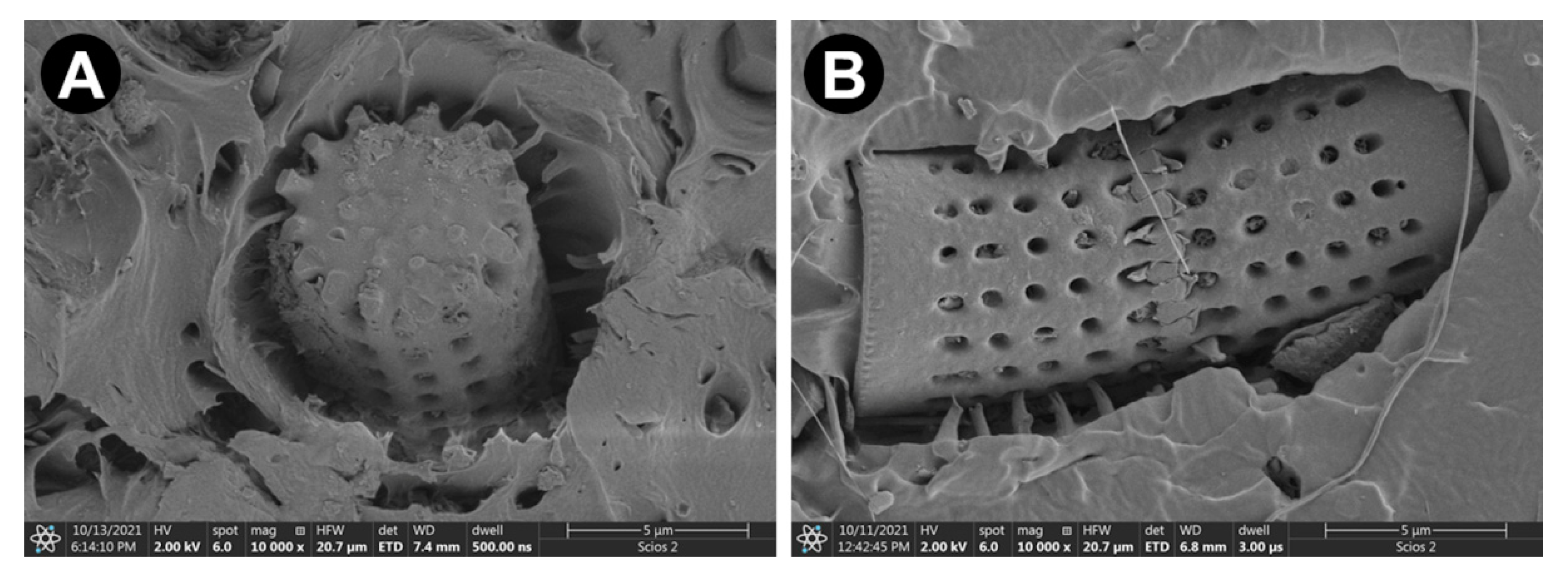 Materials 15 06210 g009