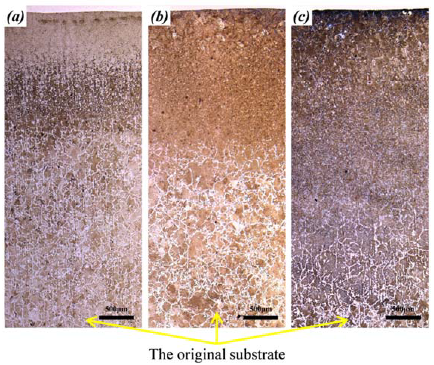 Materials 15 06246 g008