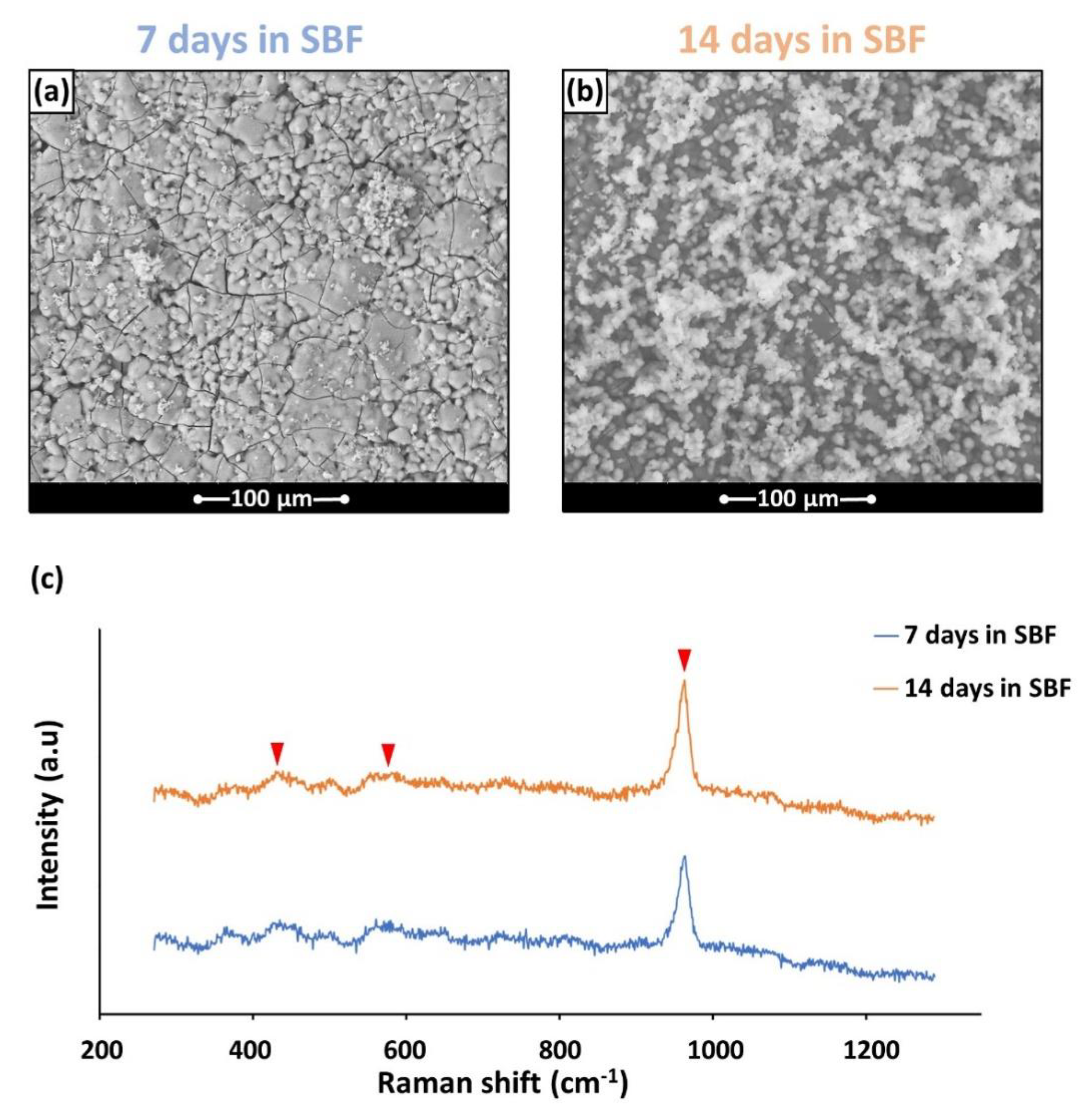 Materials 15 06263 g003 550