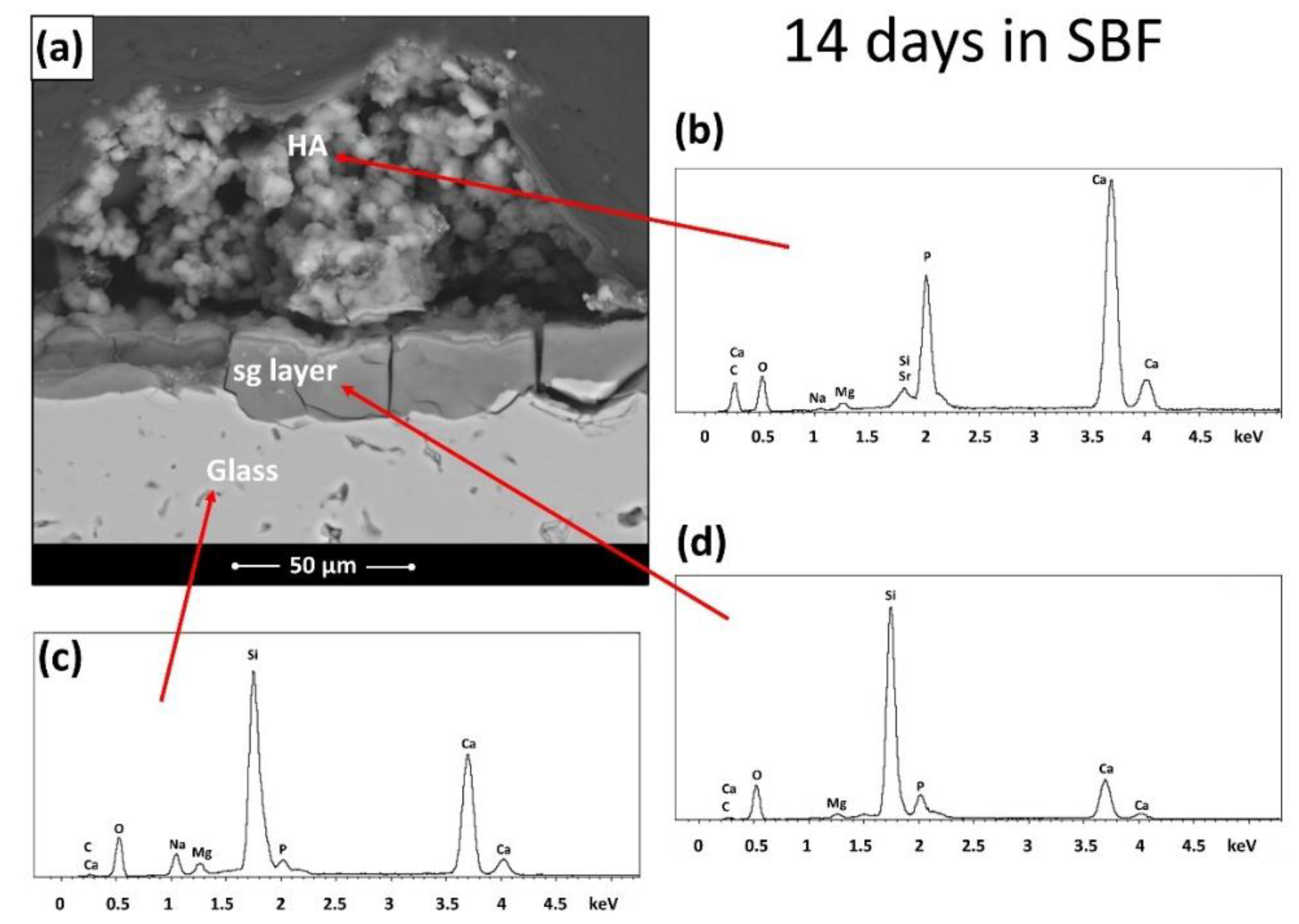 Materials 15 06263 g004 550