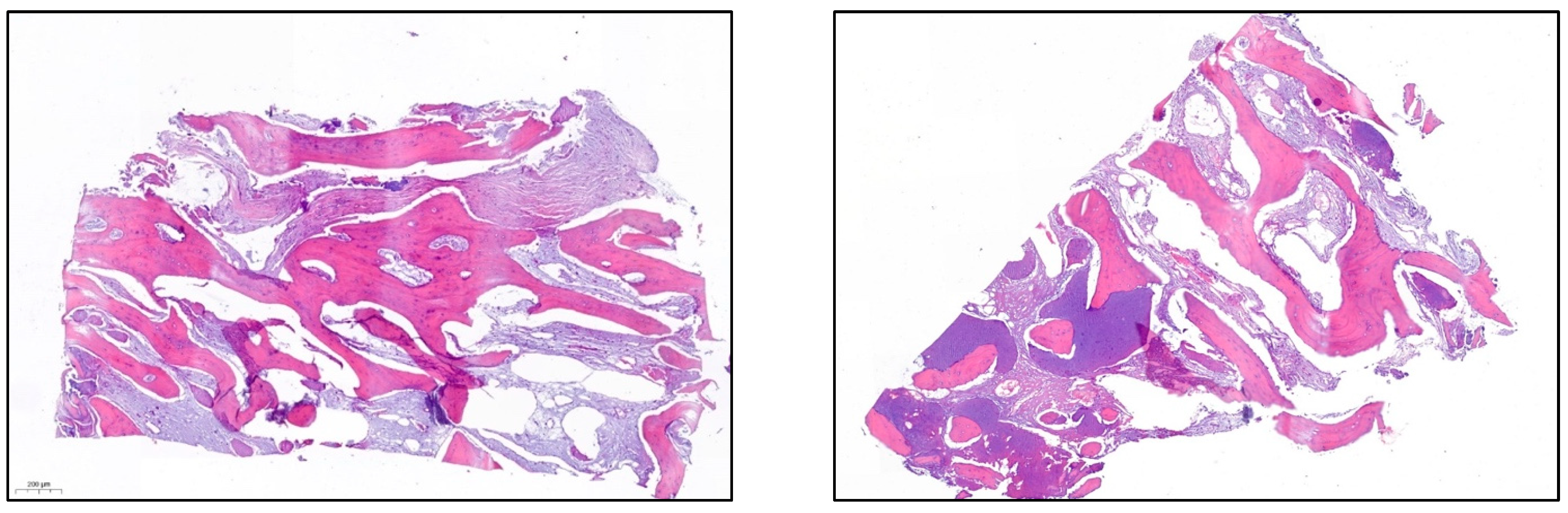 Materials 15 06271 g012 550