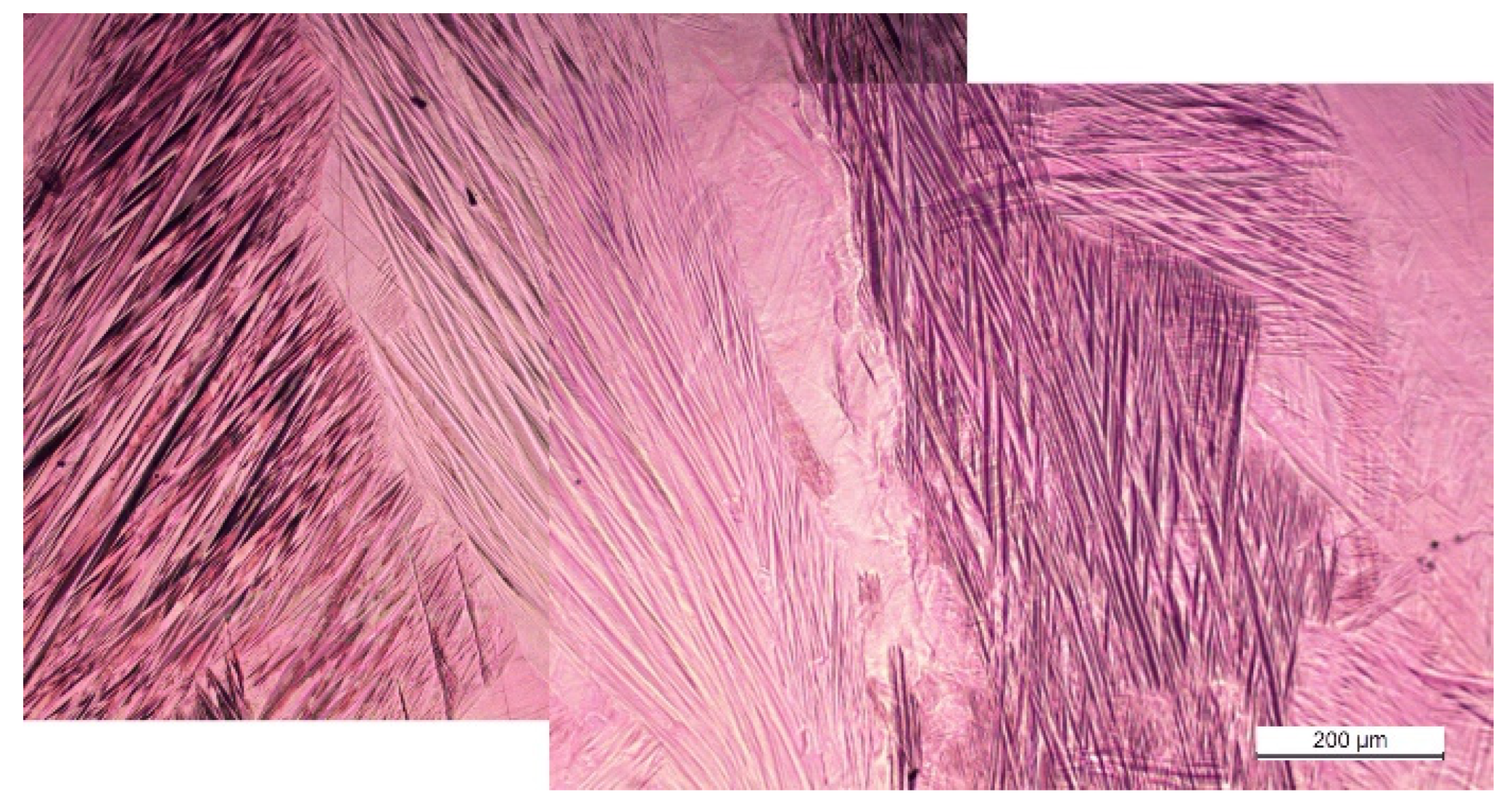 Materials 15 06284 g010