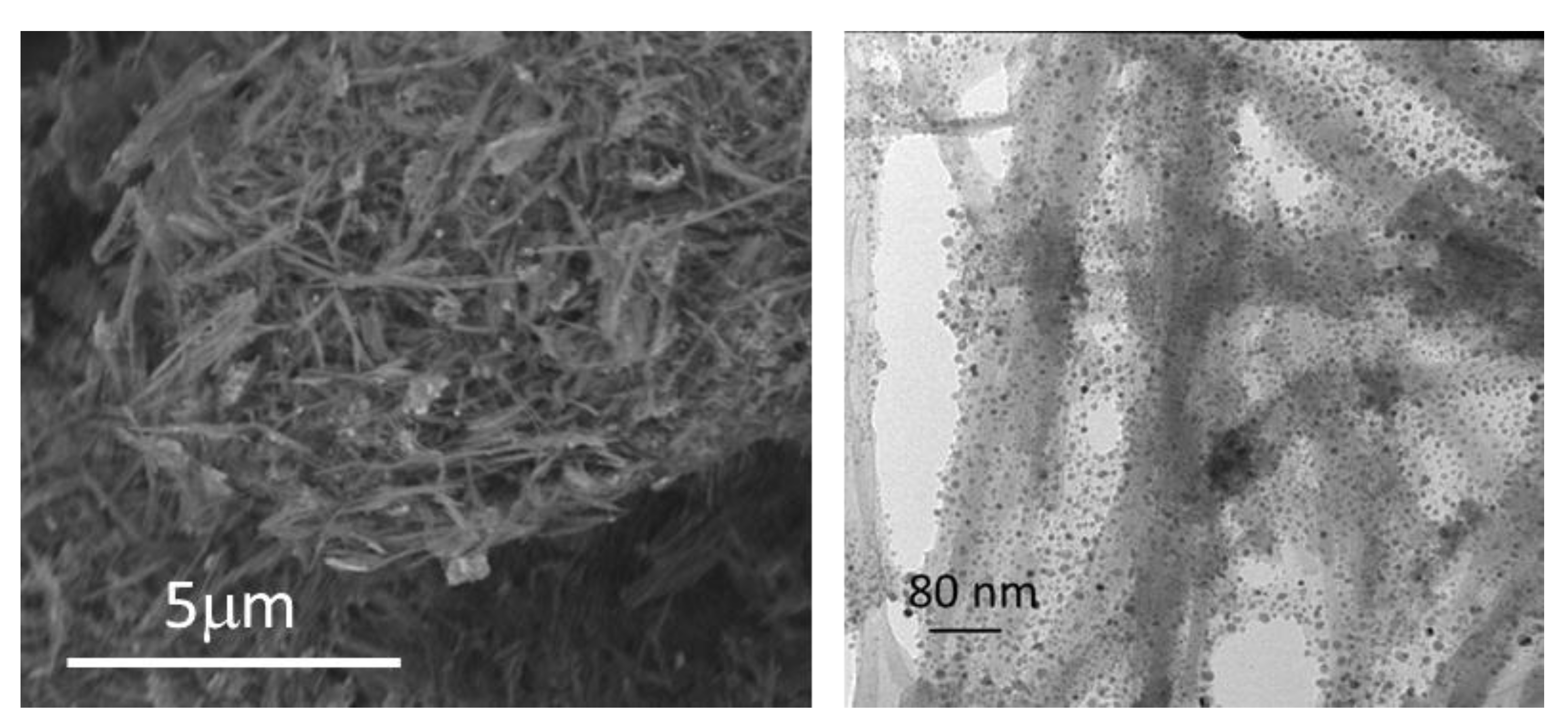 Materials 15 06297 g006