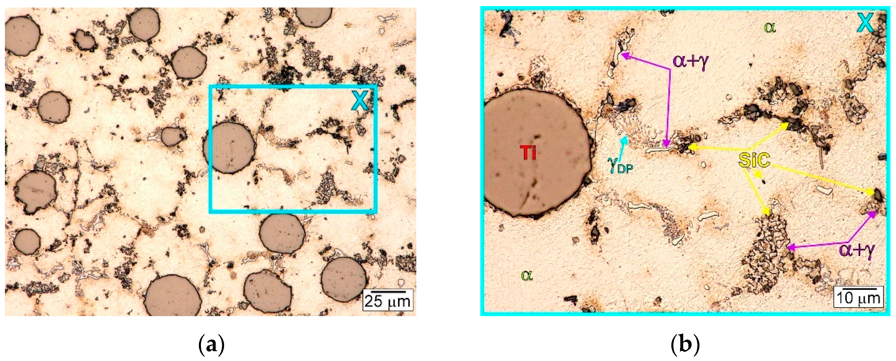 Materials 15 06301 g005 550