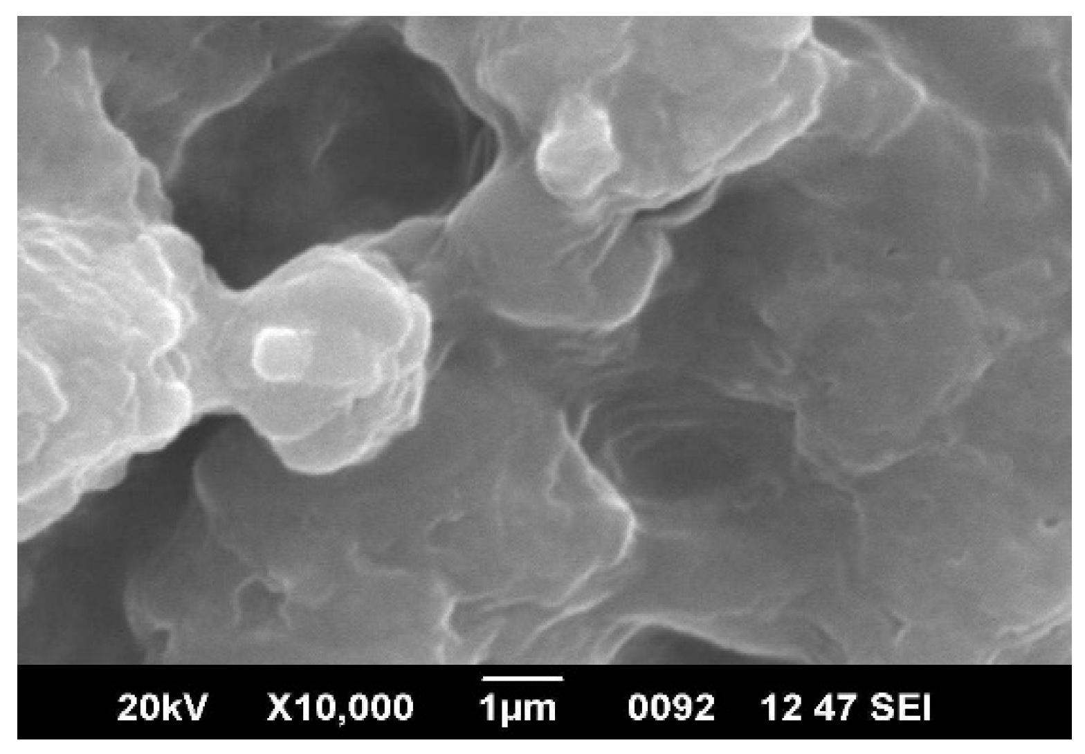 Materials 15 06322 g002