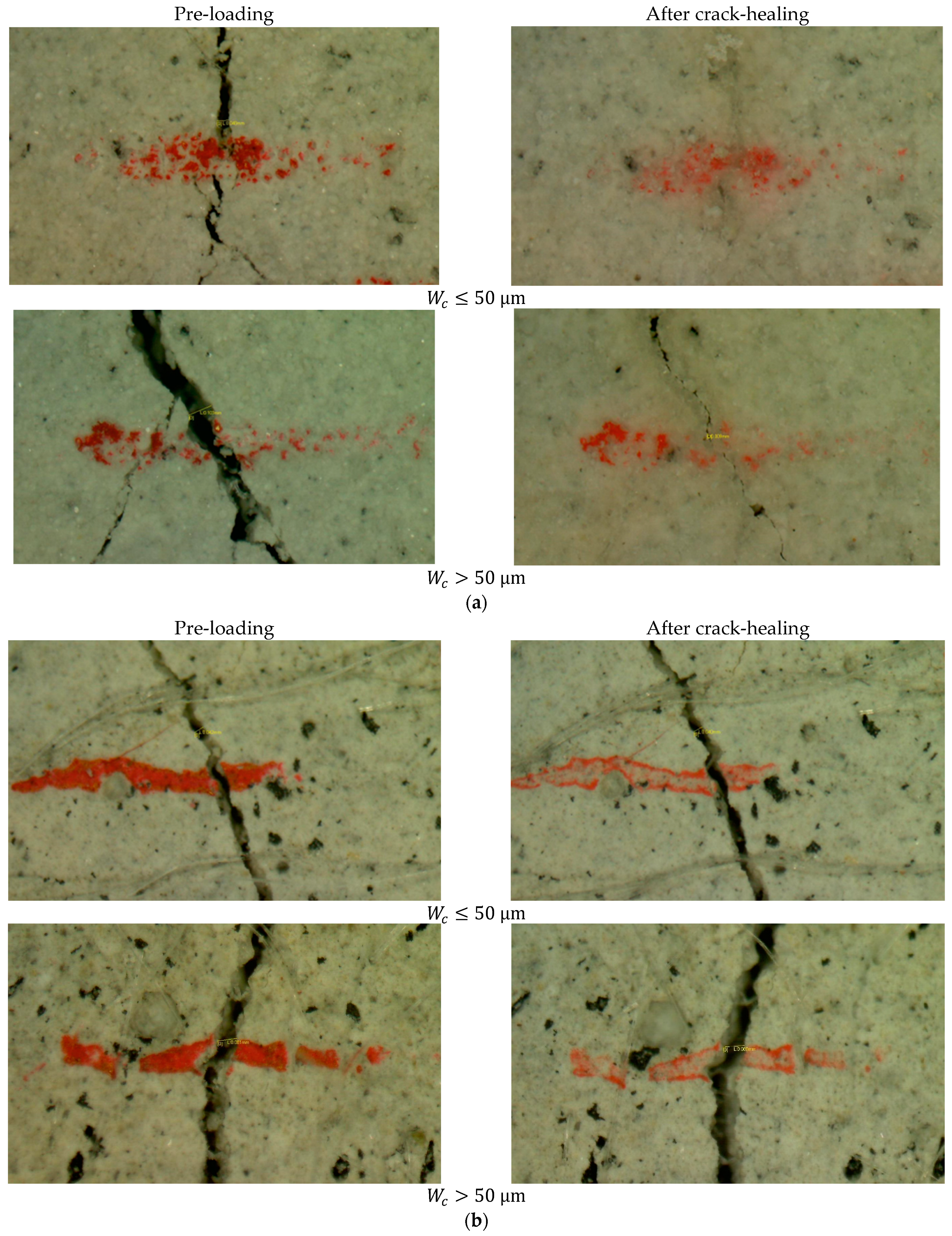 Materials 15 06339 g006 550