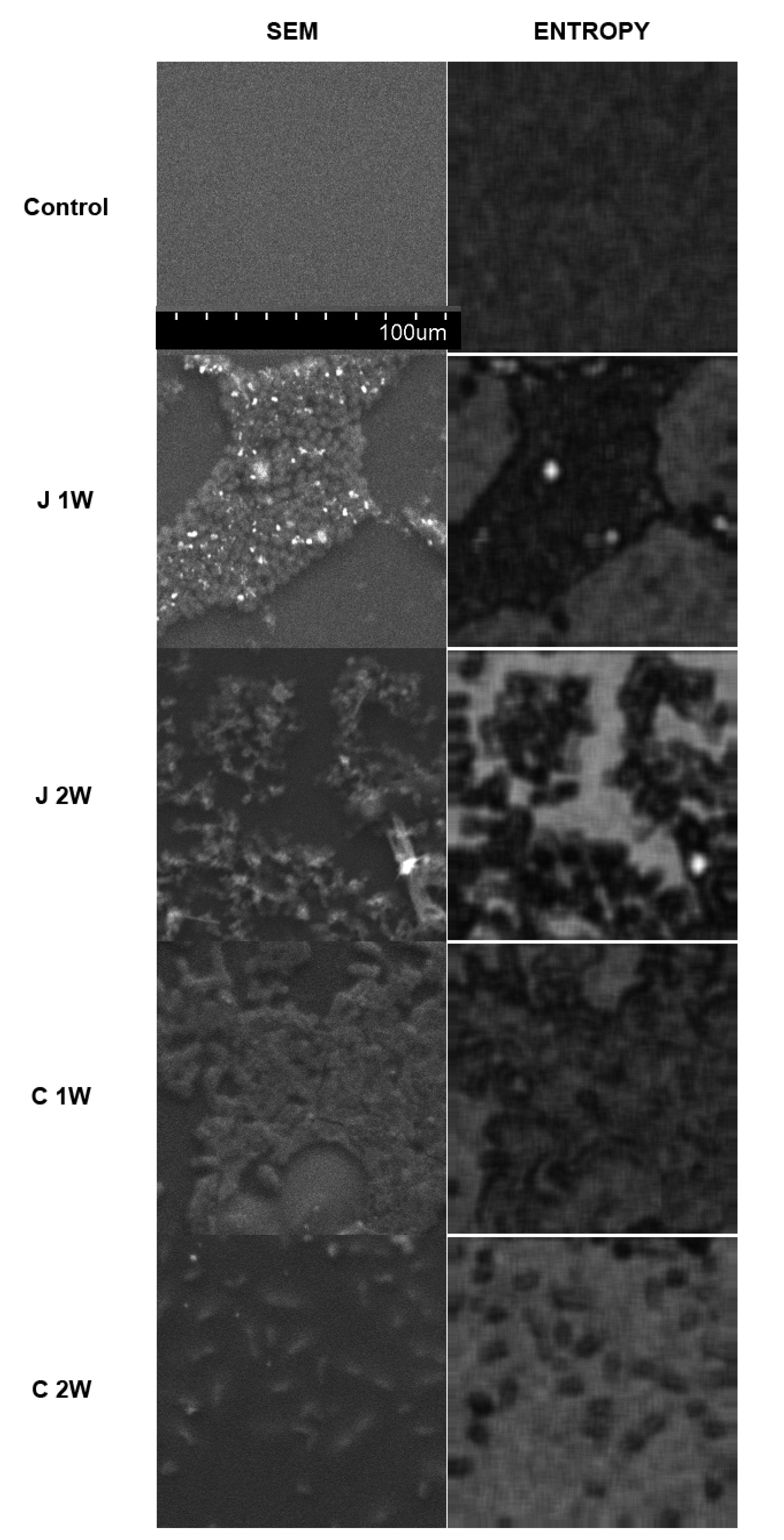 Materials 15 06341 g002