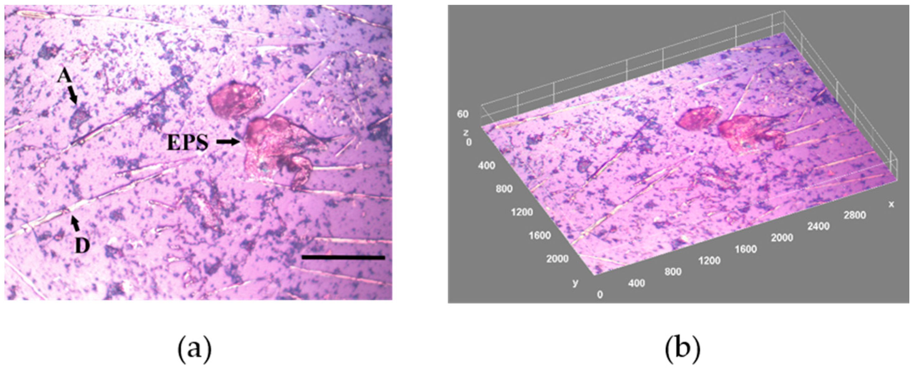 Materials 15 06351 g002 Materials 15 06351 g002