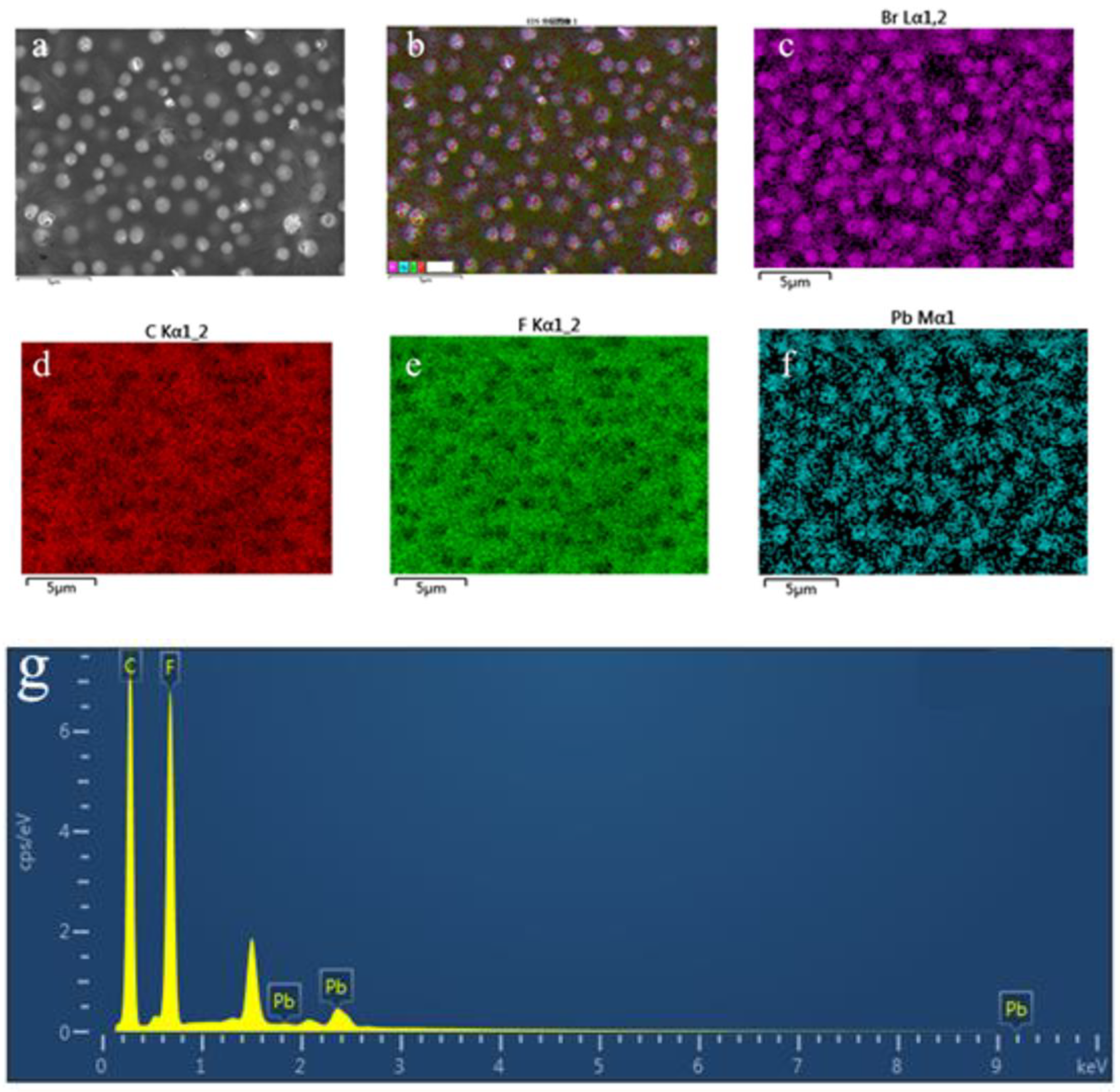 Materials 15 06378 g002 550