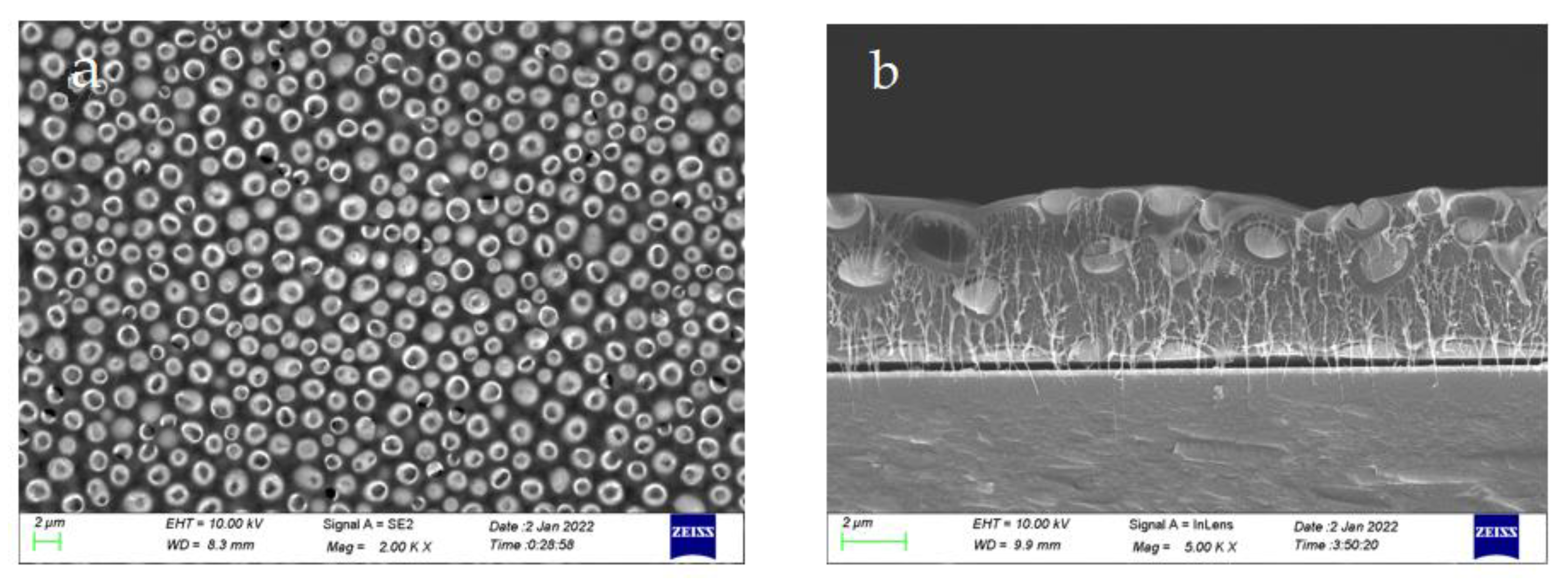 Materials 15 06378 g004 550