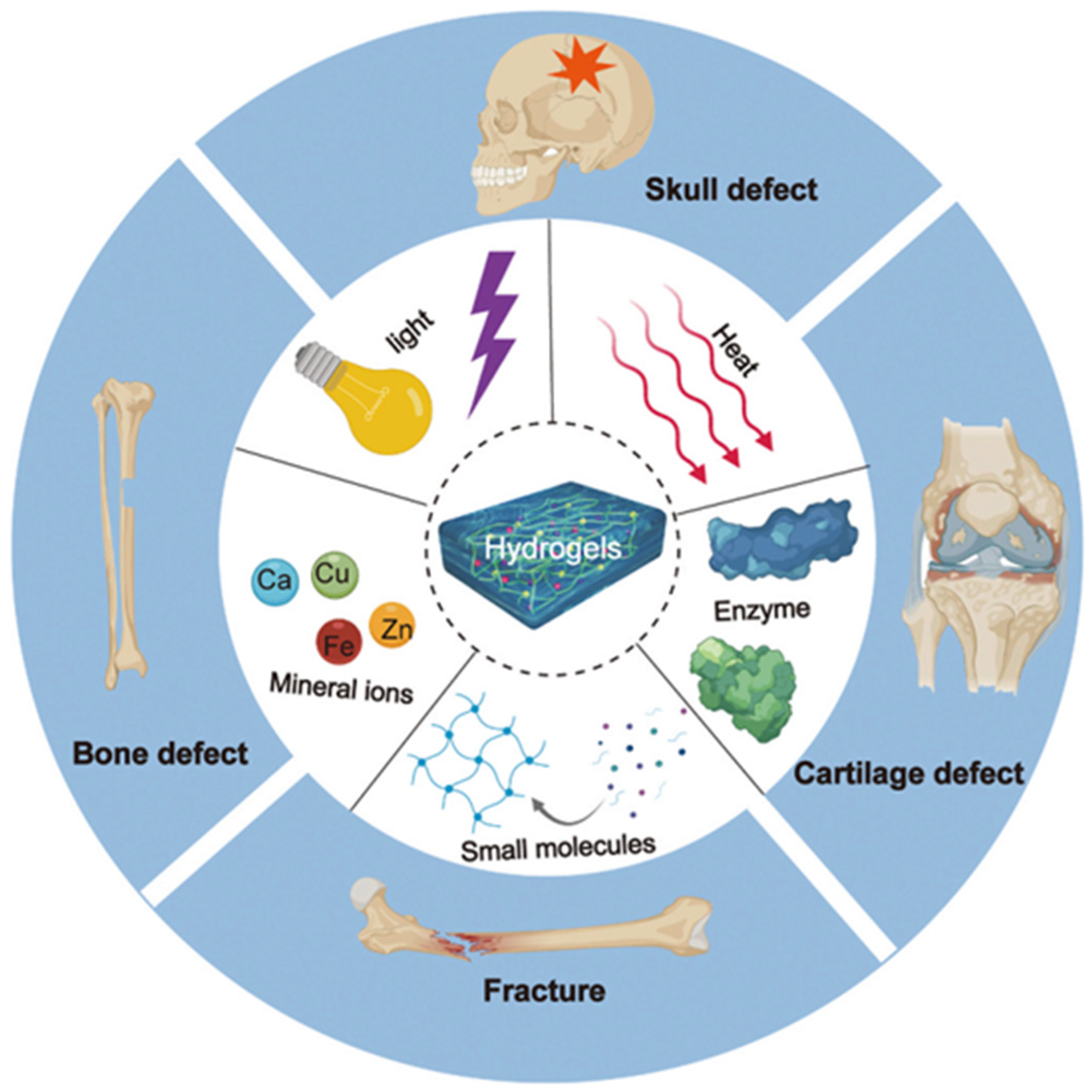 Materials 15 06383 g001