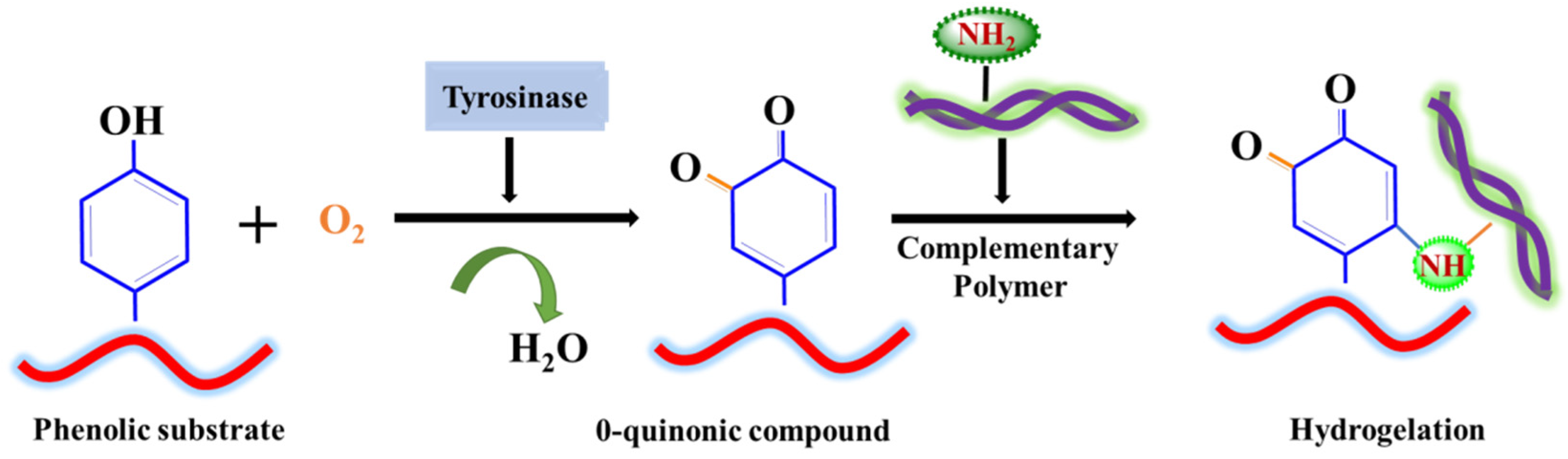 Materials 15 06383 g003