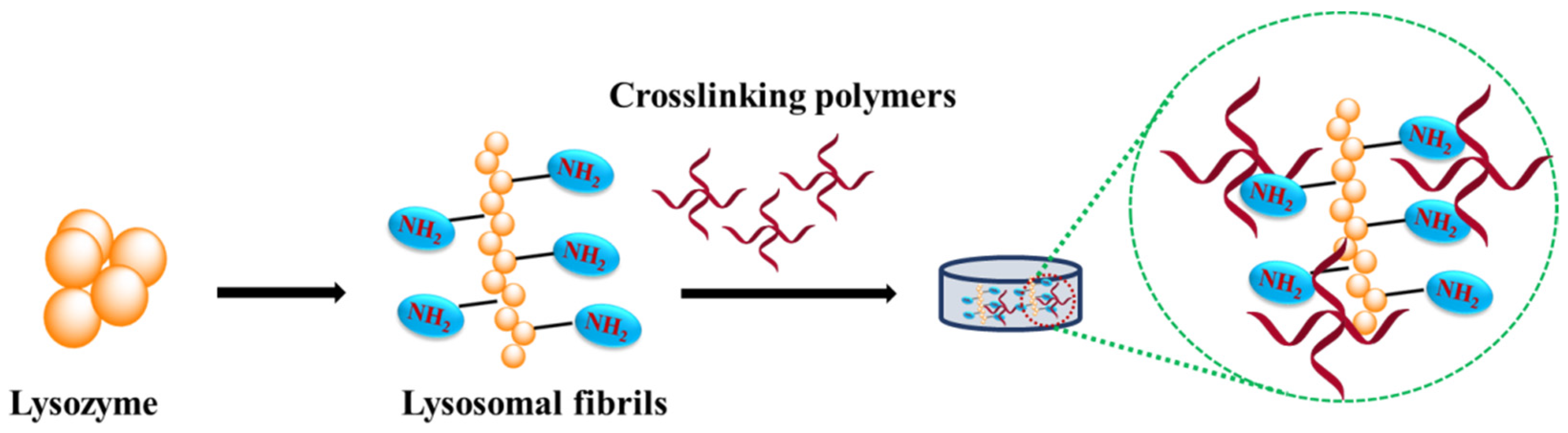 Materials 15 06383 g005