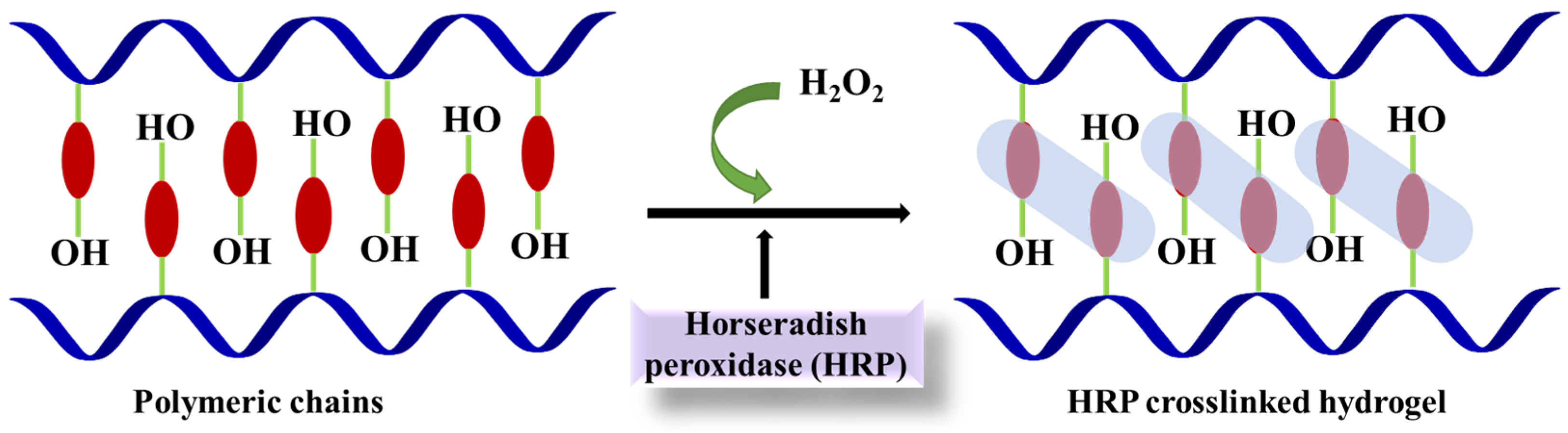 Materials 15 06383 g006