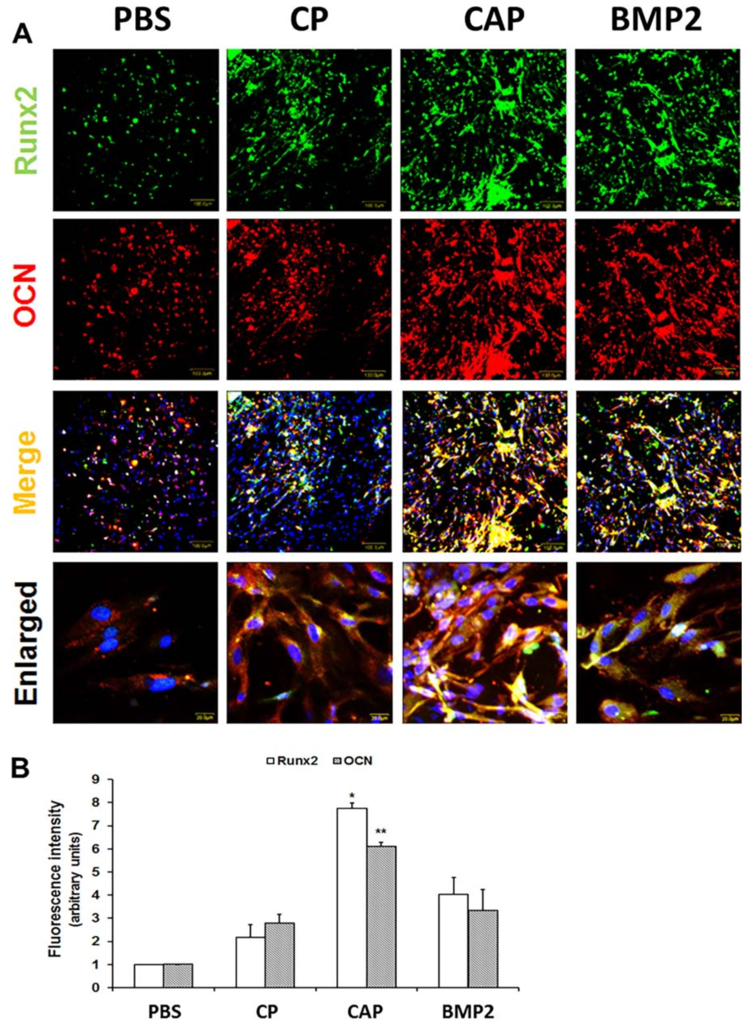 Materials 15 06383 g007