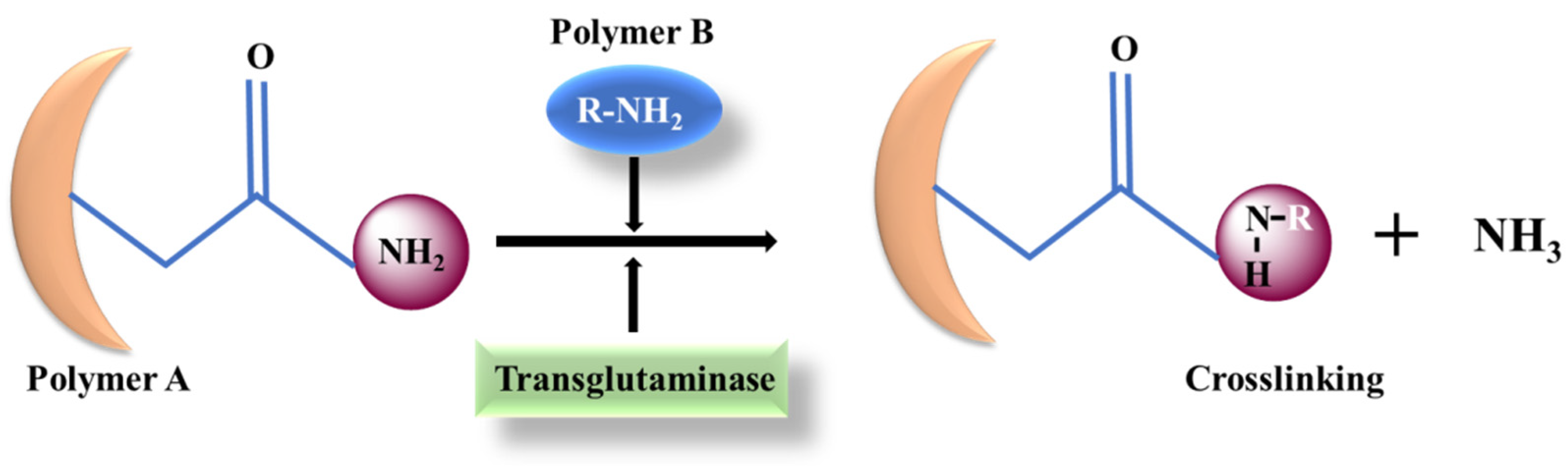 Materials 15 06383 g008