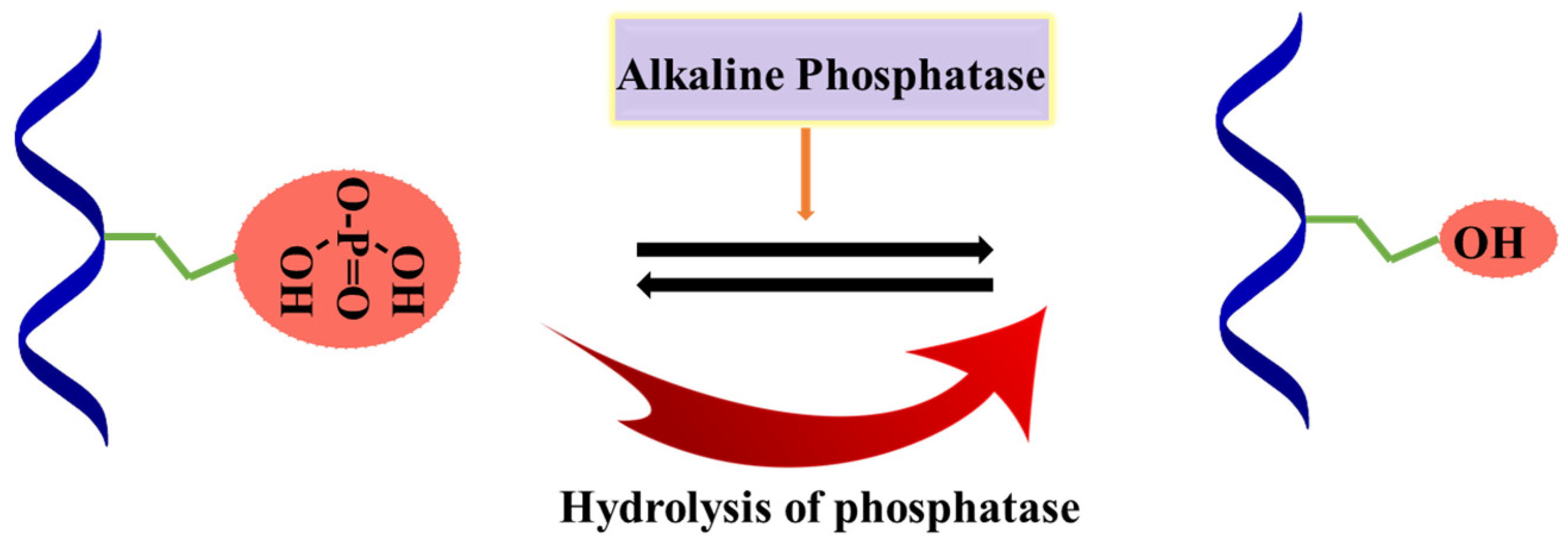 Materials 15 06383 g009