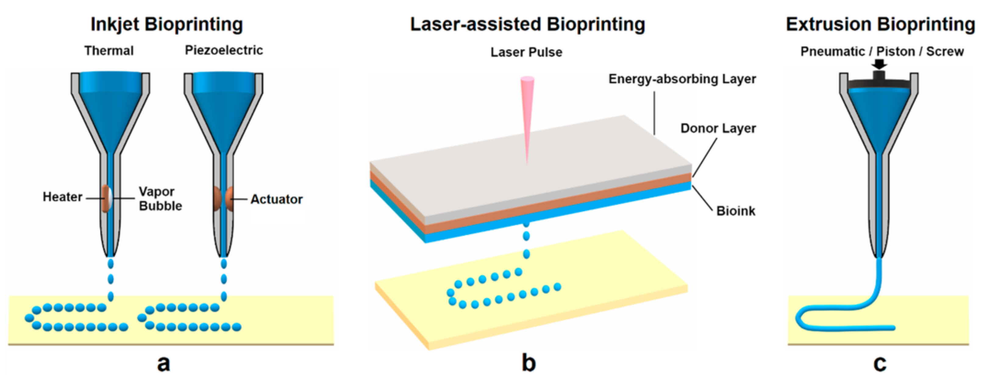 Materials Free FullText Current Advances of ThreeDimensional