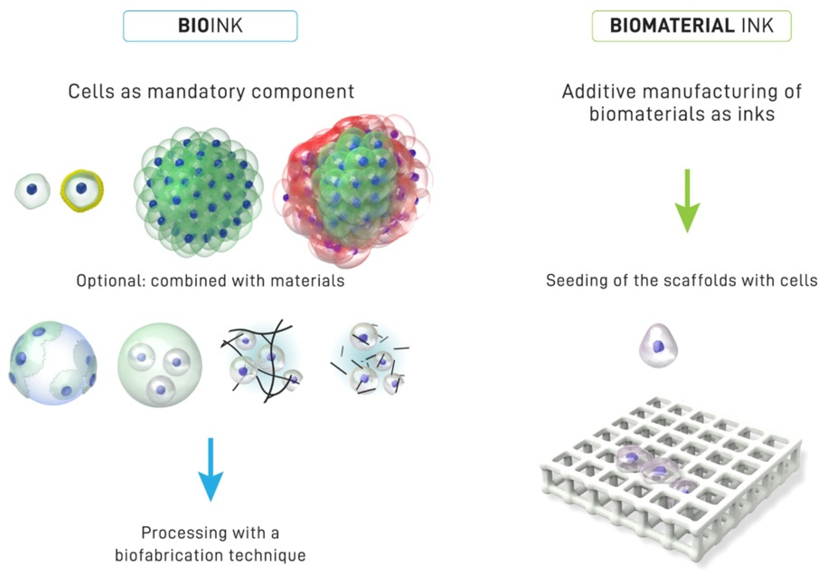 Materials 15 06398 g002