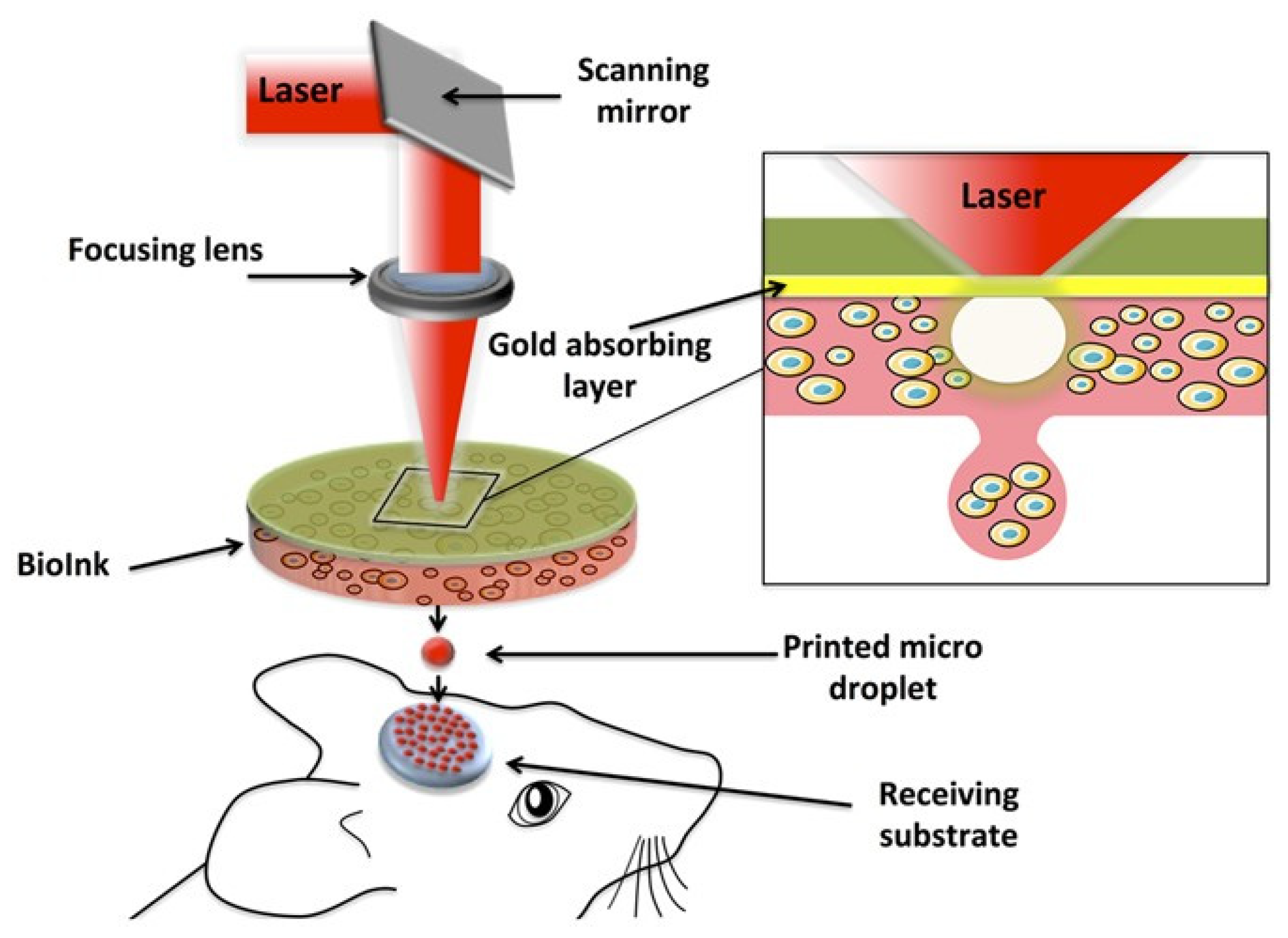Materials 15 06398 g006