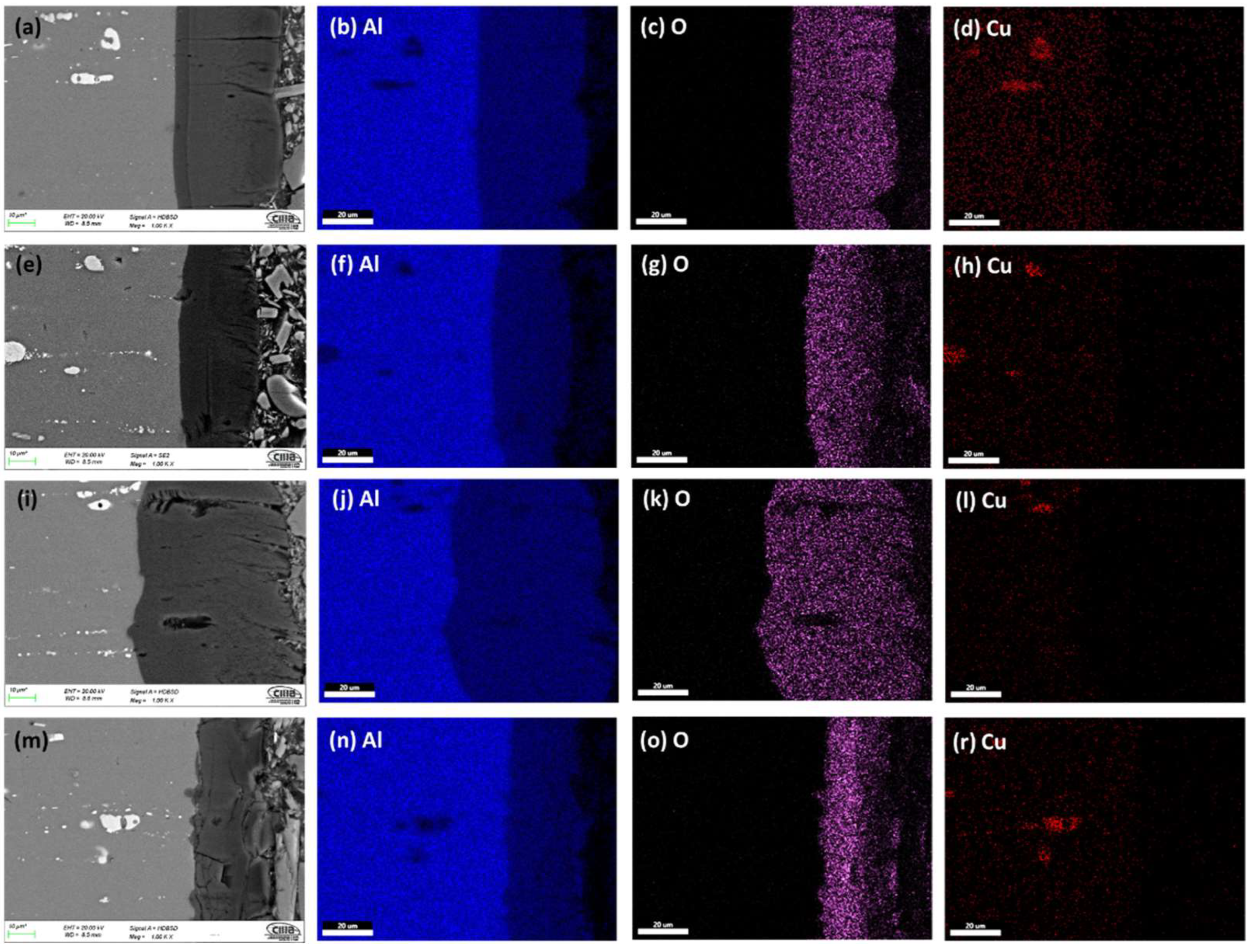 Materials 15 06401 g003 550