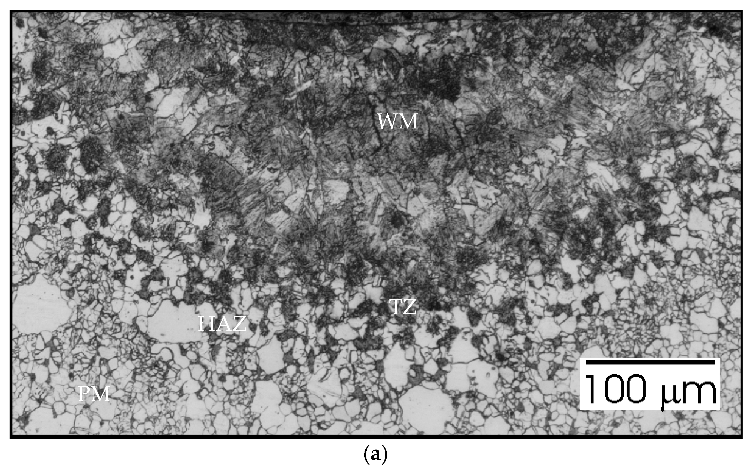 Materials 15 06402 g021a 550