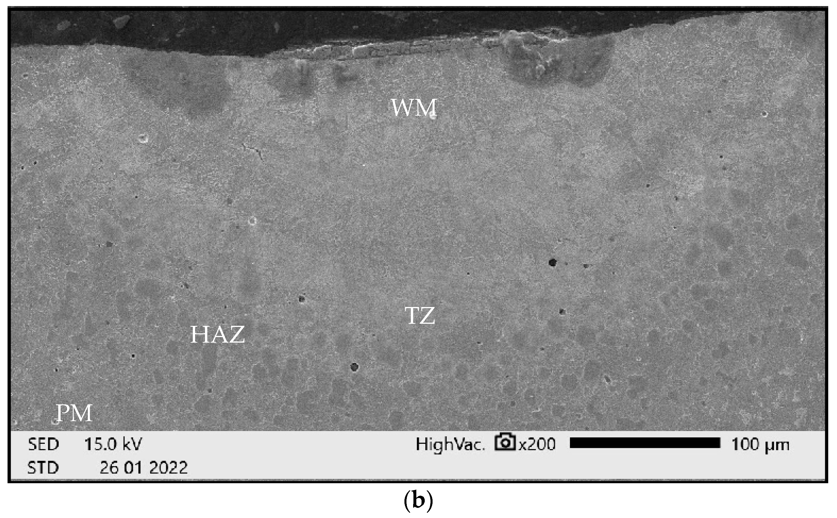 Materials 15 06402 g021b 550