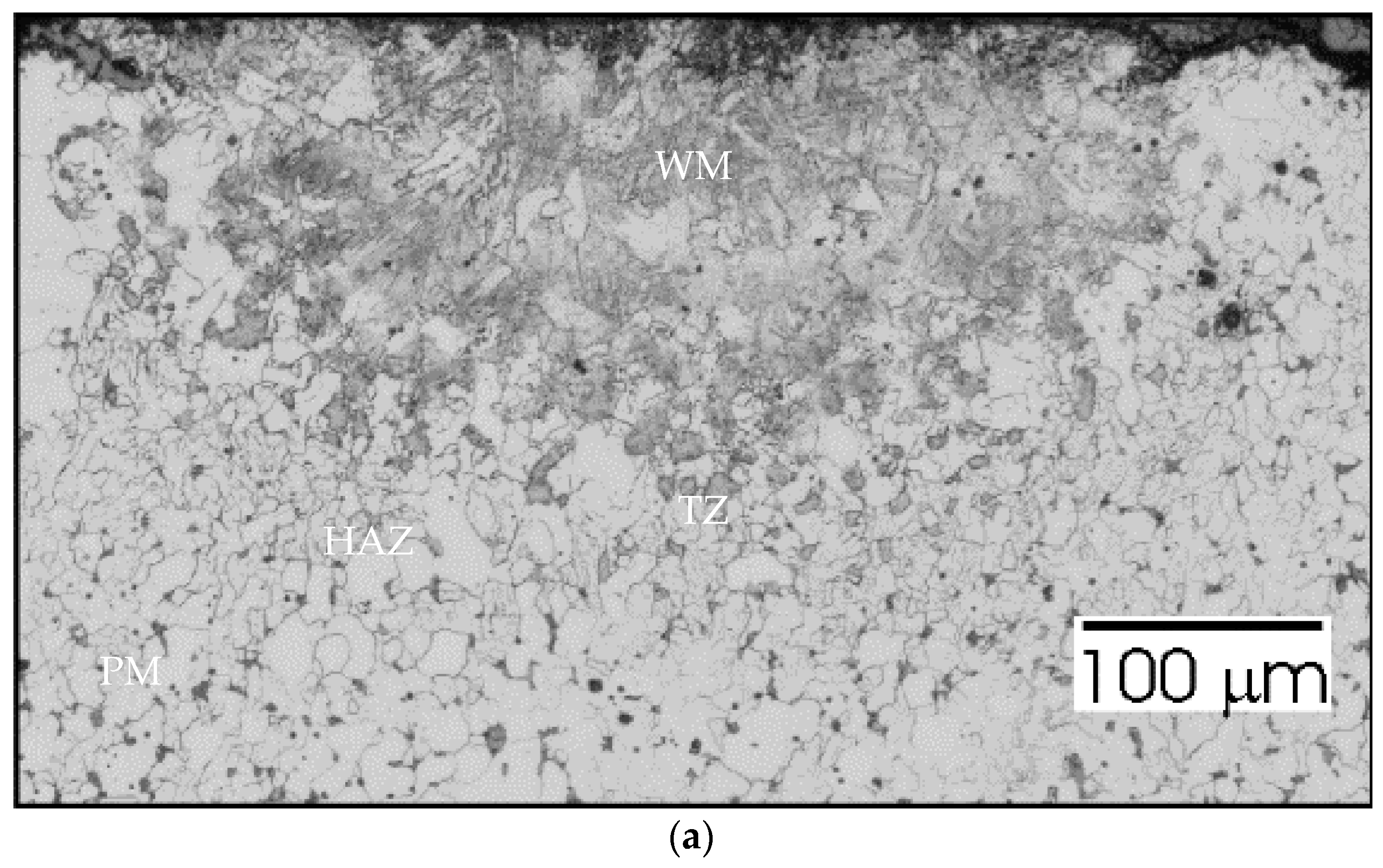 Materials 15 06402 g022a 550