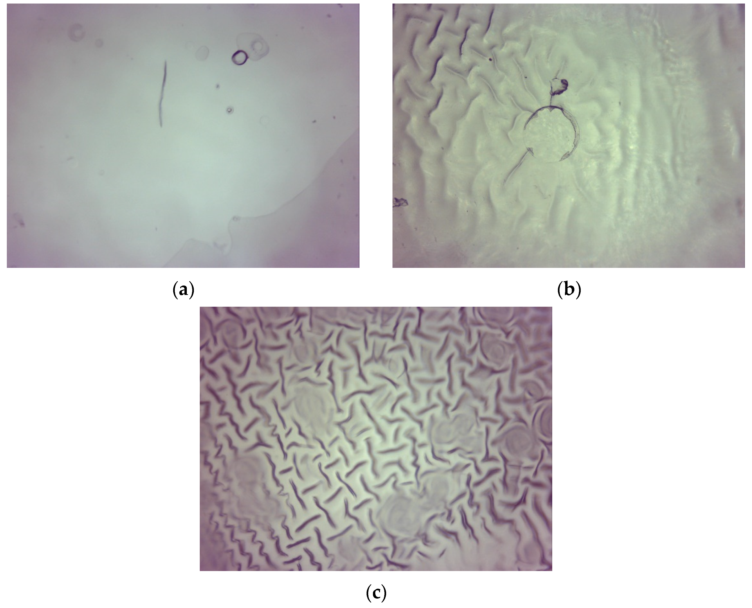 Materials 15 06404 g001 550