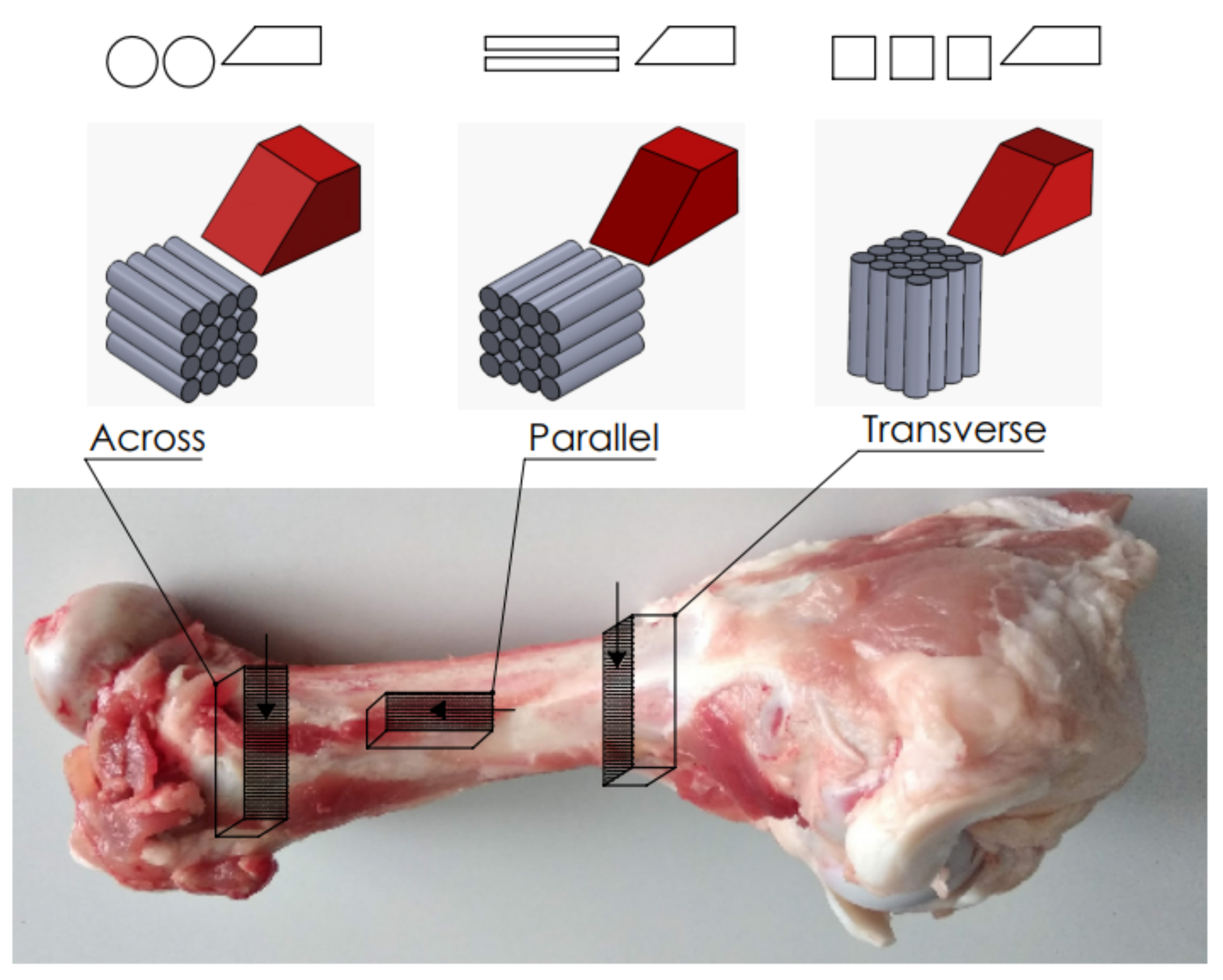 Materials 15 06414 g002 Materials 15 06414 g002