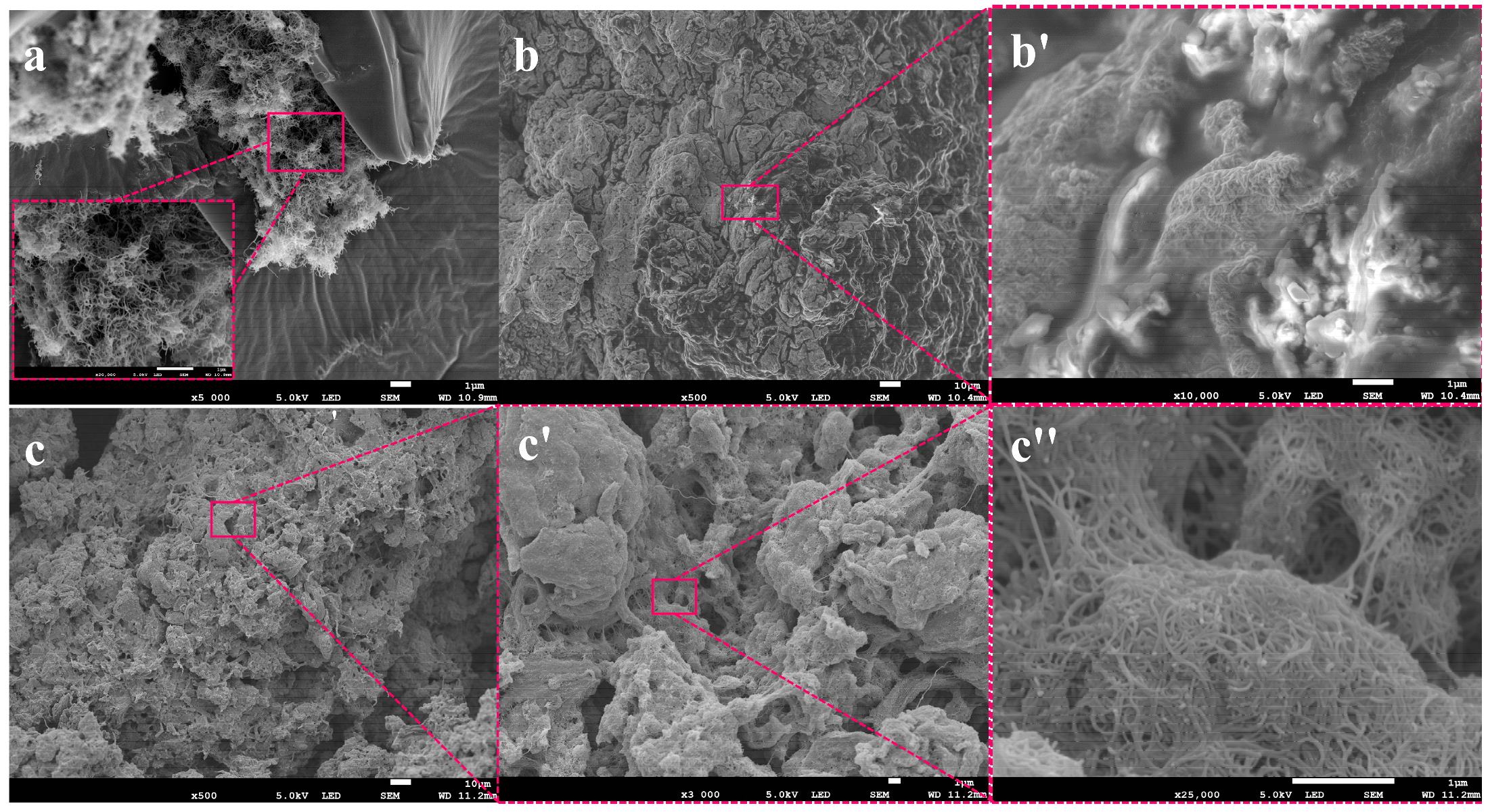 Materials 15 06430 g005