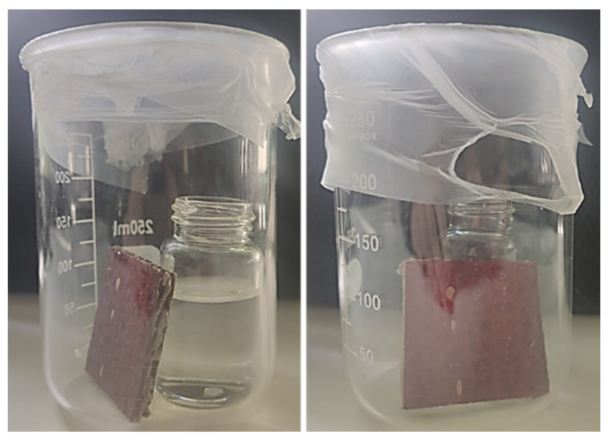 Materials 15 06431 g002 550