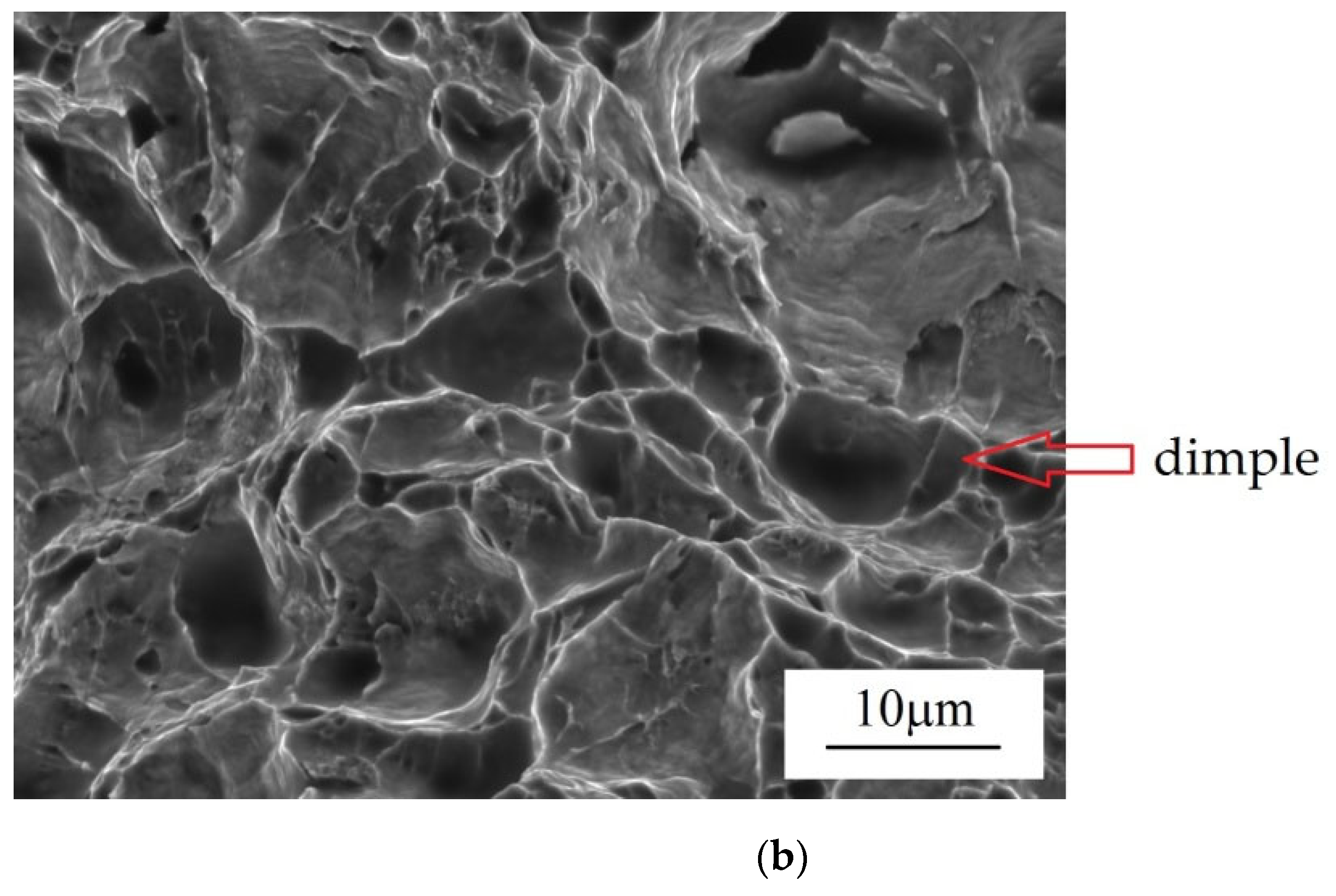 VoidInduced Ductile Fracture of Metals Experimental Observations