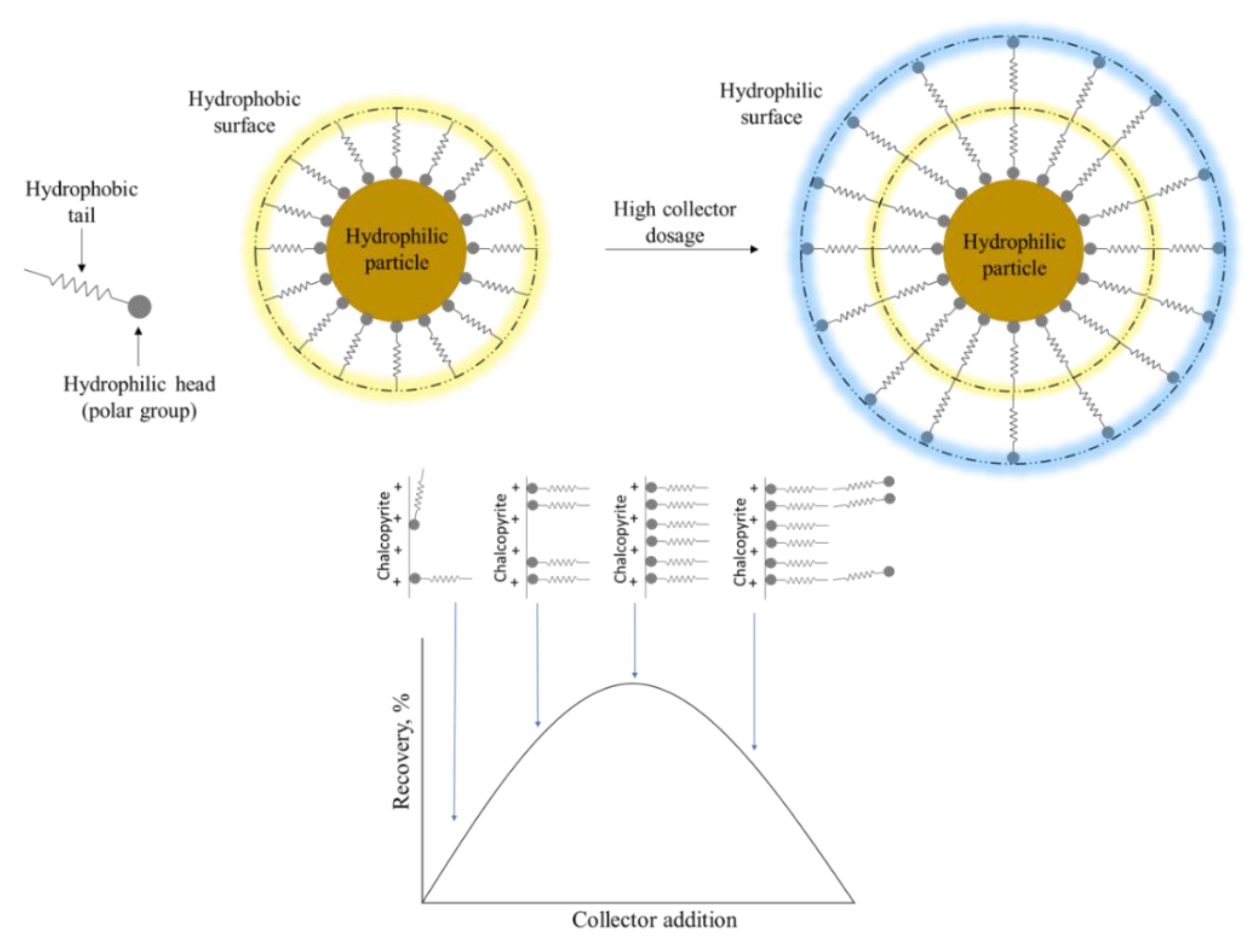 Materials 15 06536 g005