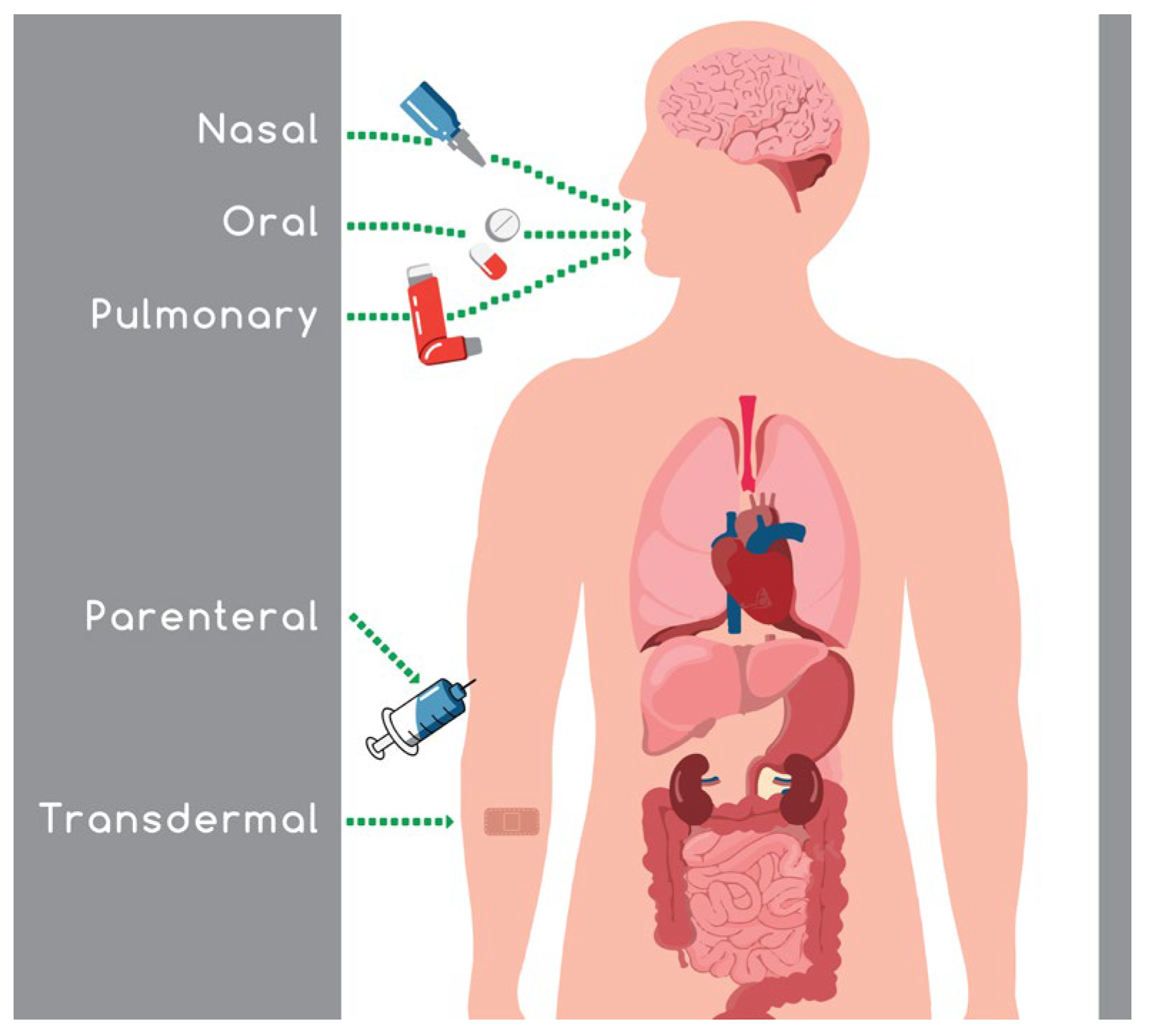 Materials 15 06547 g001 550