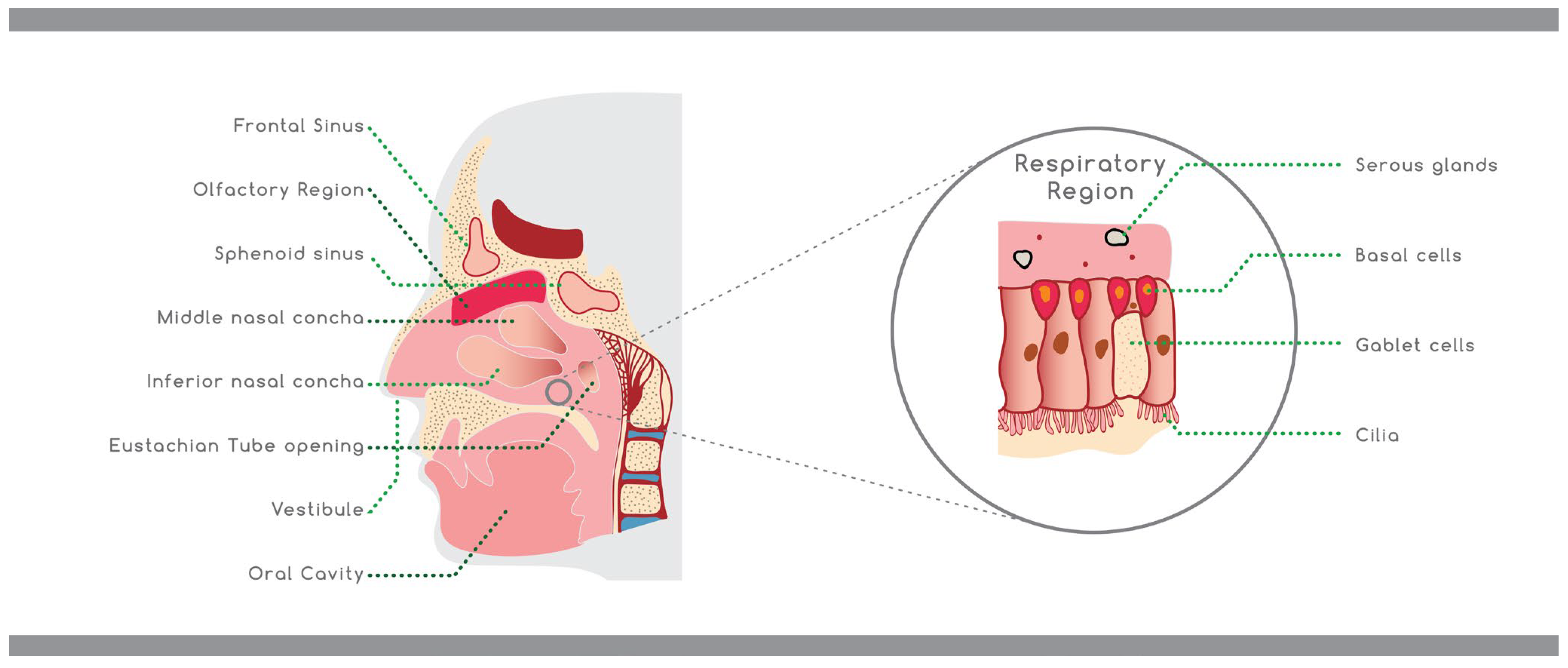 Materials 15 06547 g002 550