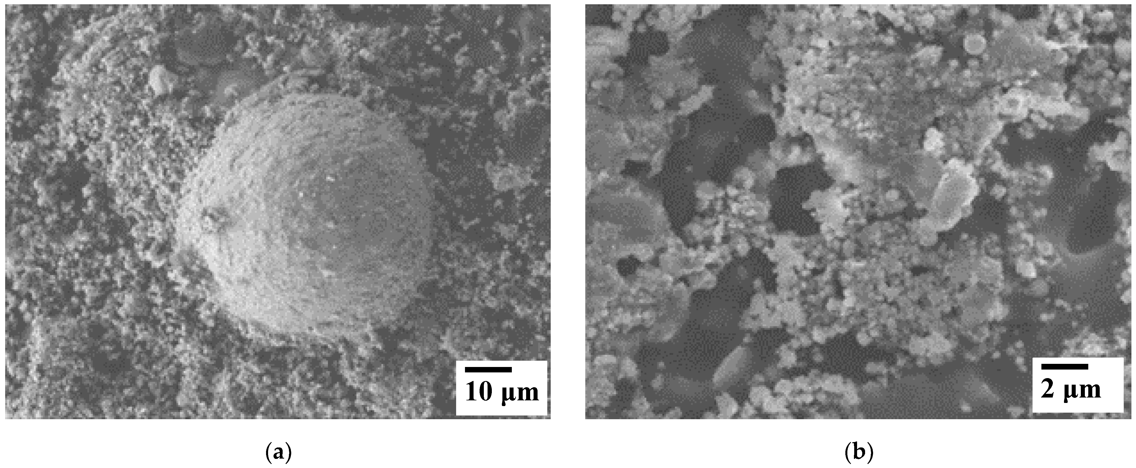 Materials 15 06587 g003a