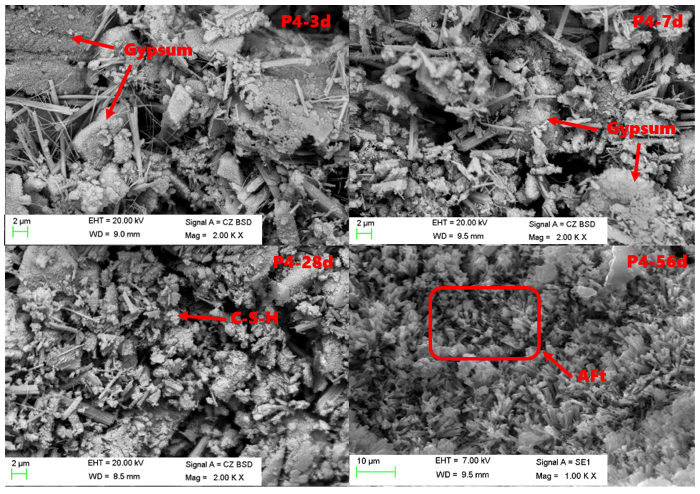 Materials 15 06601 g005 550