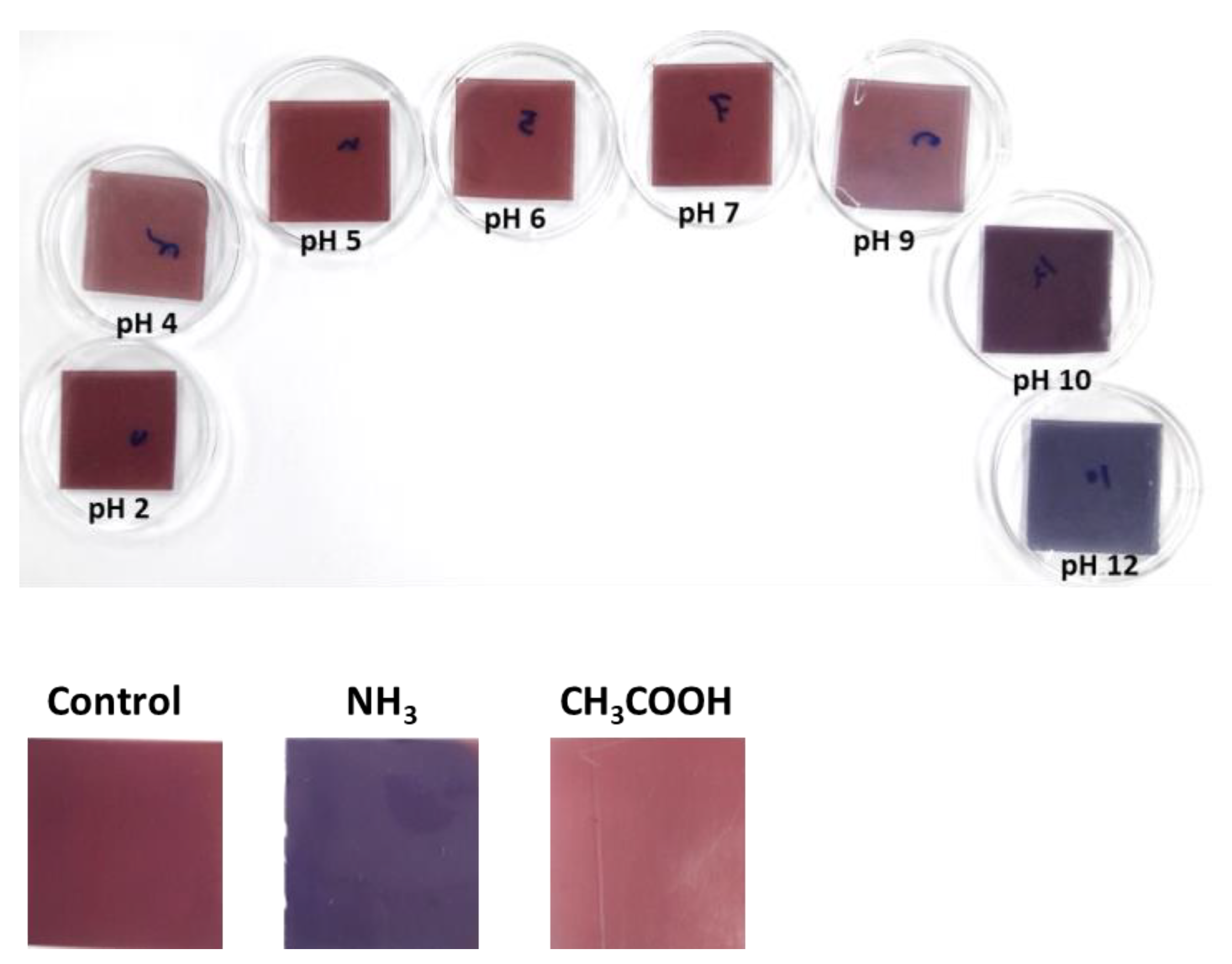 Materials 15 06615 g001 550