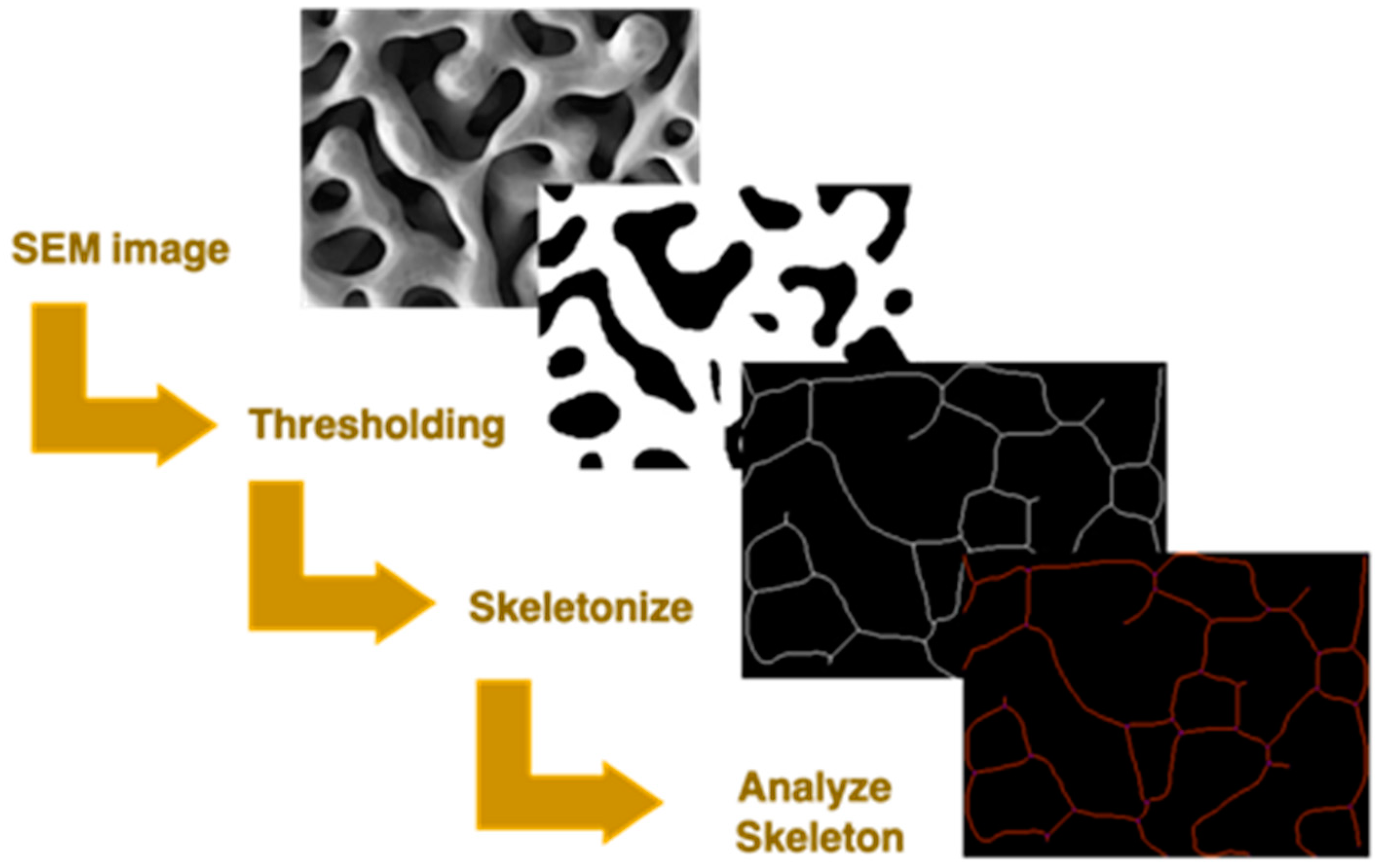 Materials 15 06621 g001