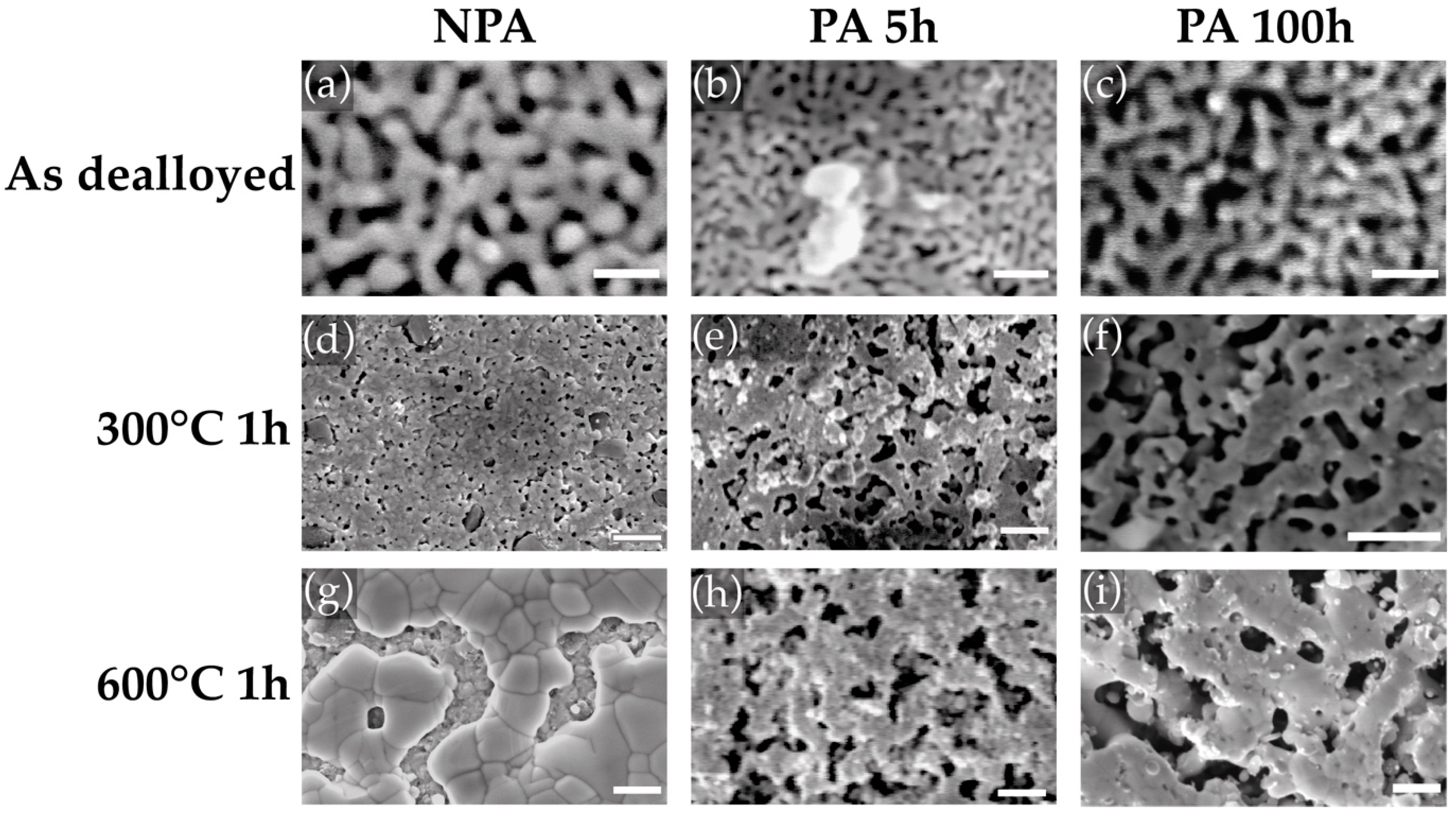 Materials 15 06621 g003