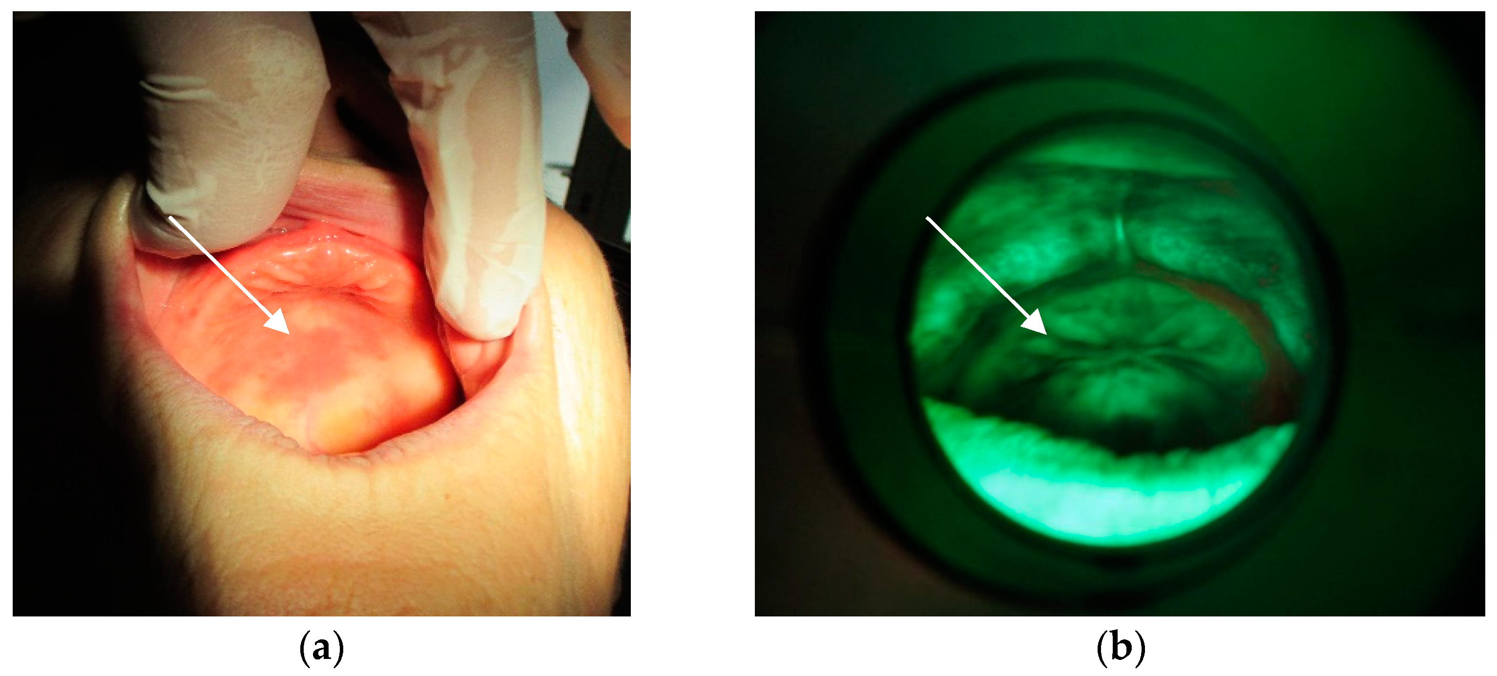 Materials 15 06633 g008 Materials 15 06633 g008