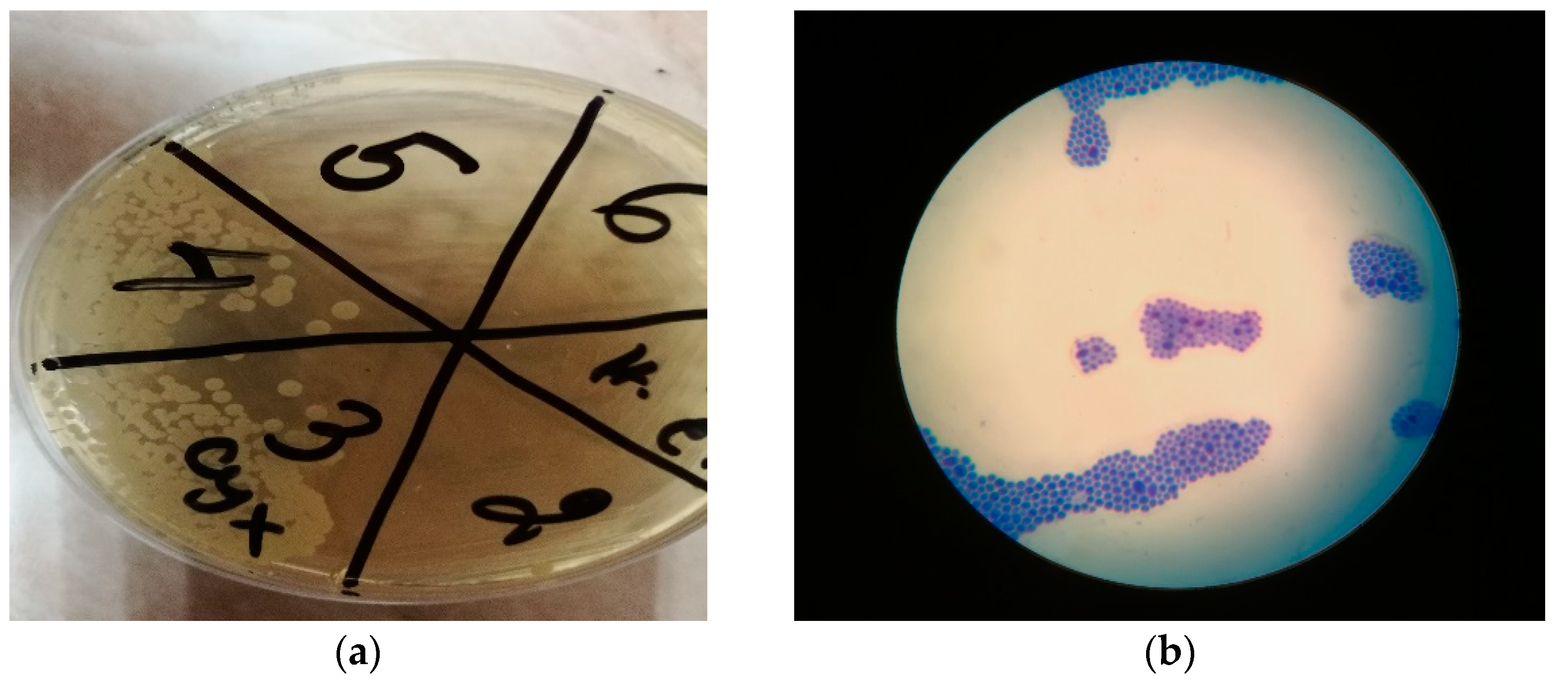 Materials 15 06633 g010 Materials 15 06633 g010