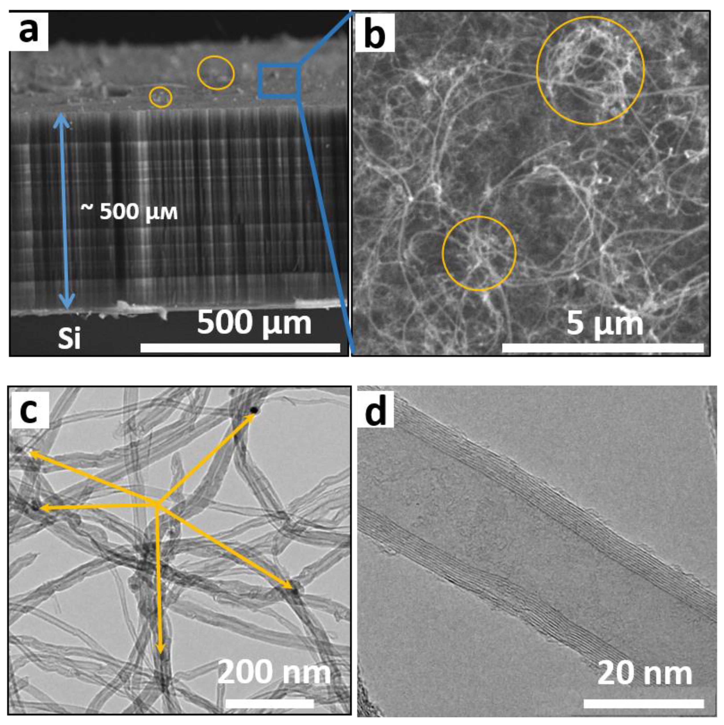 Materials 15 06639 g002