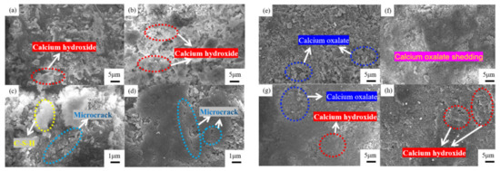 oxalic Study on the Performance of Steel Slag and Its Asphalt