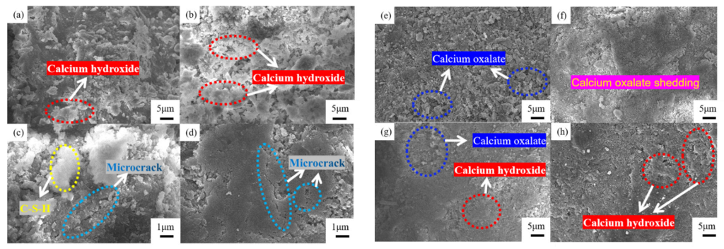 Materials 15 06642 g016