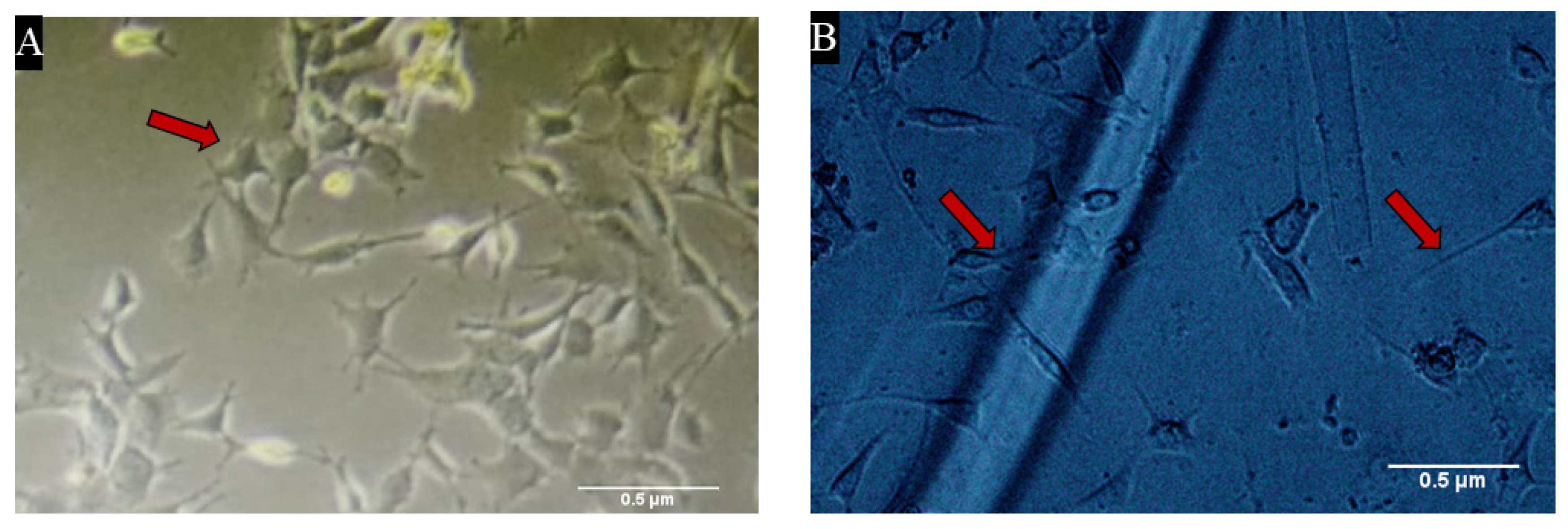 Materials 15 06683 g004 Materials 15 06683 g004